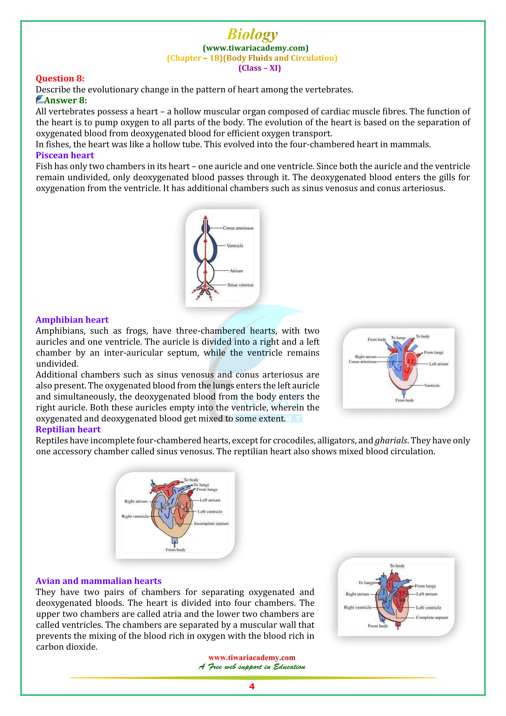 NCERT Solutions for Class 11 Biology Chapter 18 in English Medium