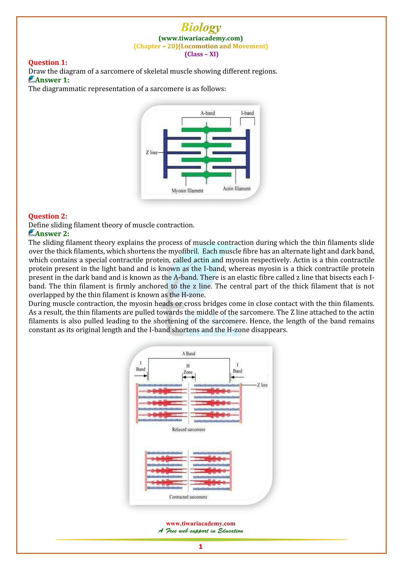 NCERT Solutions for Class 11 Biology Chapter 20 Locomotion and Movement