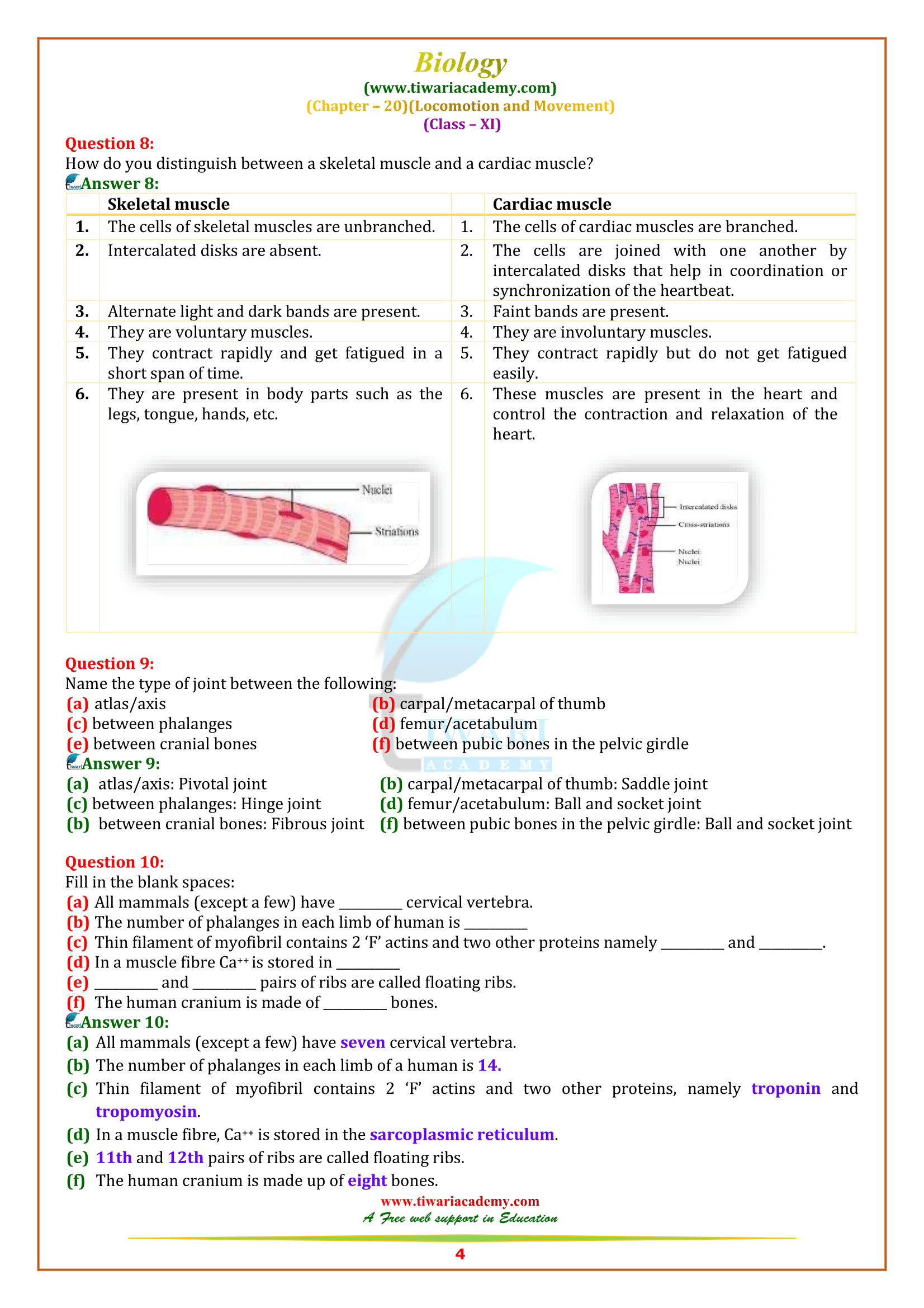 11 Bio ch. 20