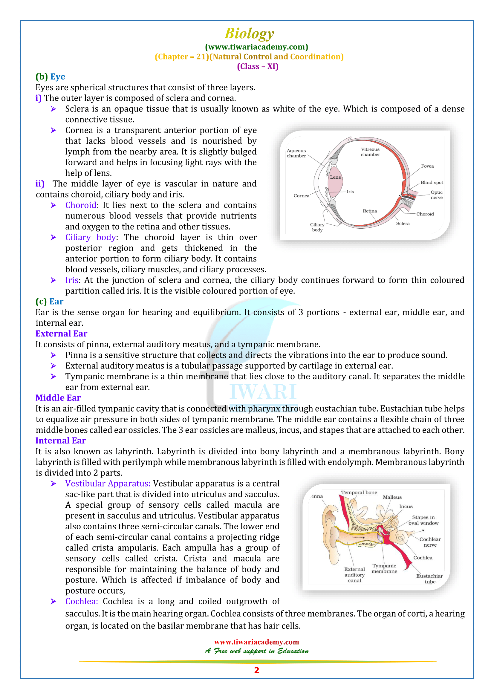 11 Bio Neural Control and Coordination