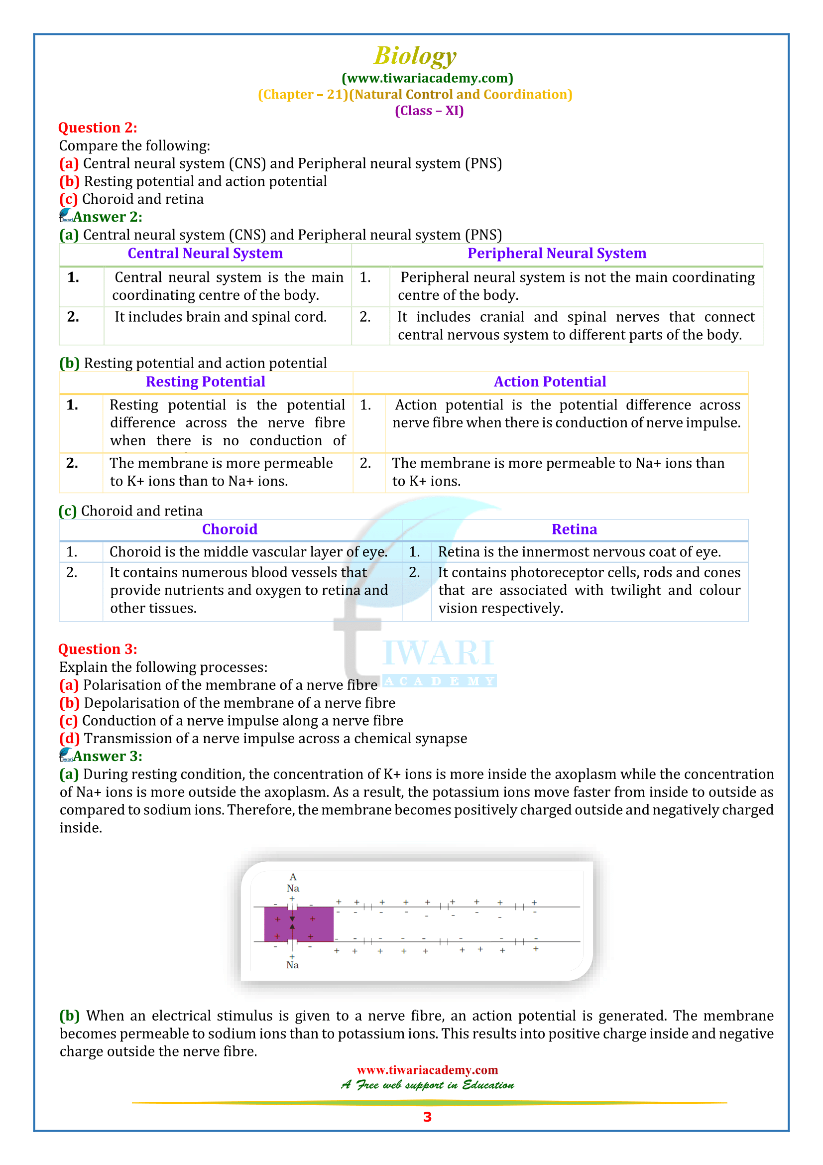 NCERT Solutions for Class 11 Biology Chapter 21 PDF