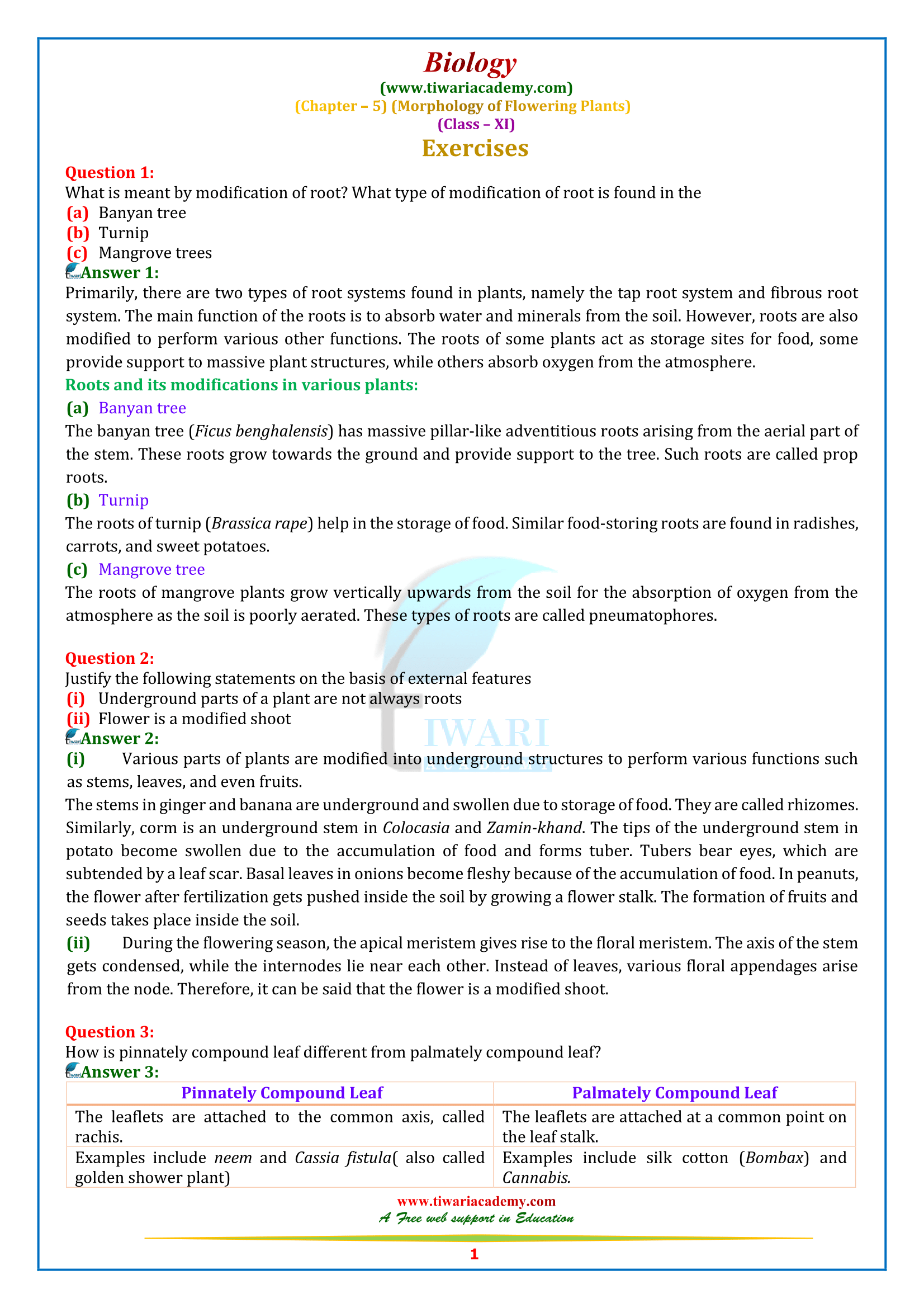 NCERT Solutions for Class 11 Biology Chapter 5 Morphology of Flowering Plants