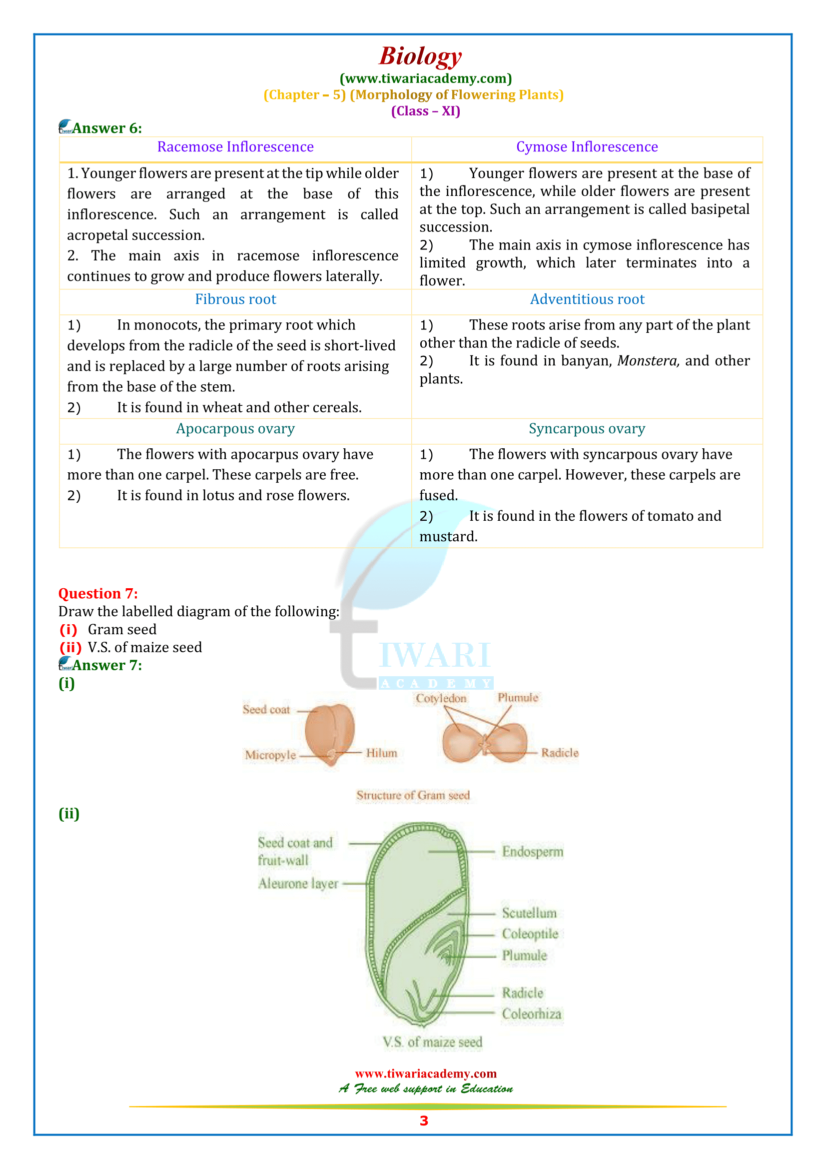 NCERT Solutions for Class 11 Biology Chapter 5 in English medium