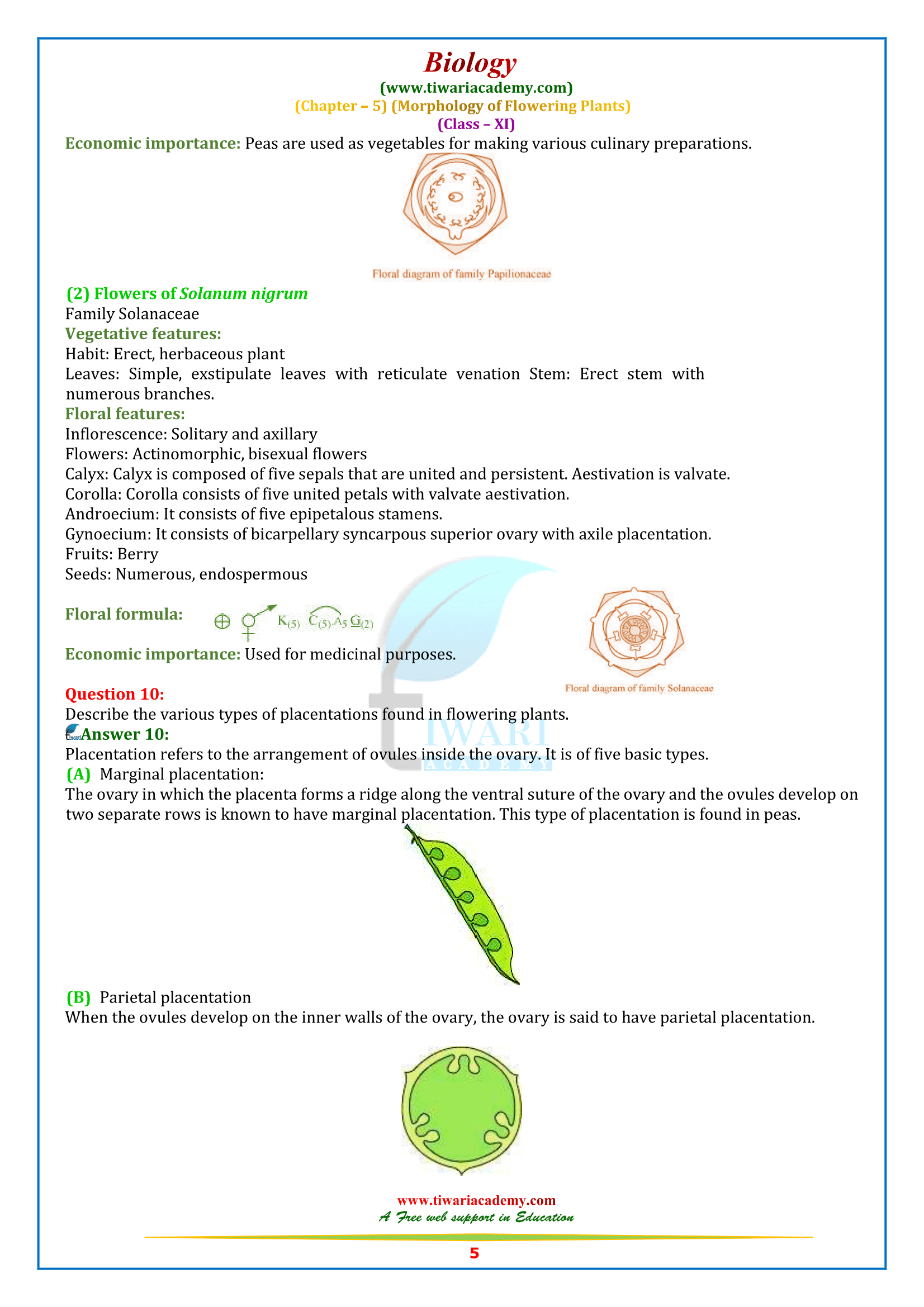 NCERT Solutions for Class 11 Biology Chapter 5 all question answers