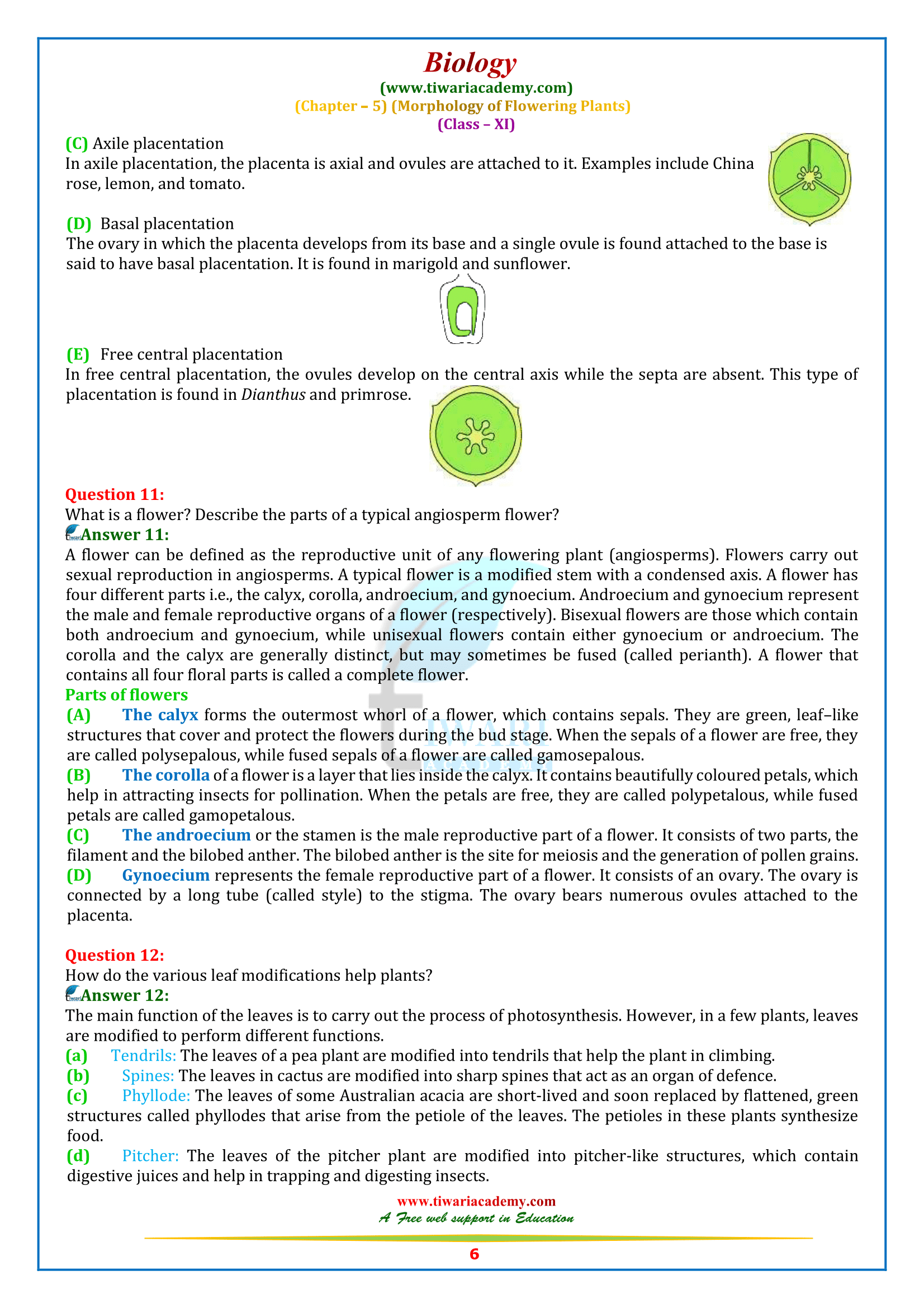 NCERT Solutions for Class 11 Biology Chapter 5 free download