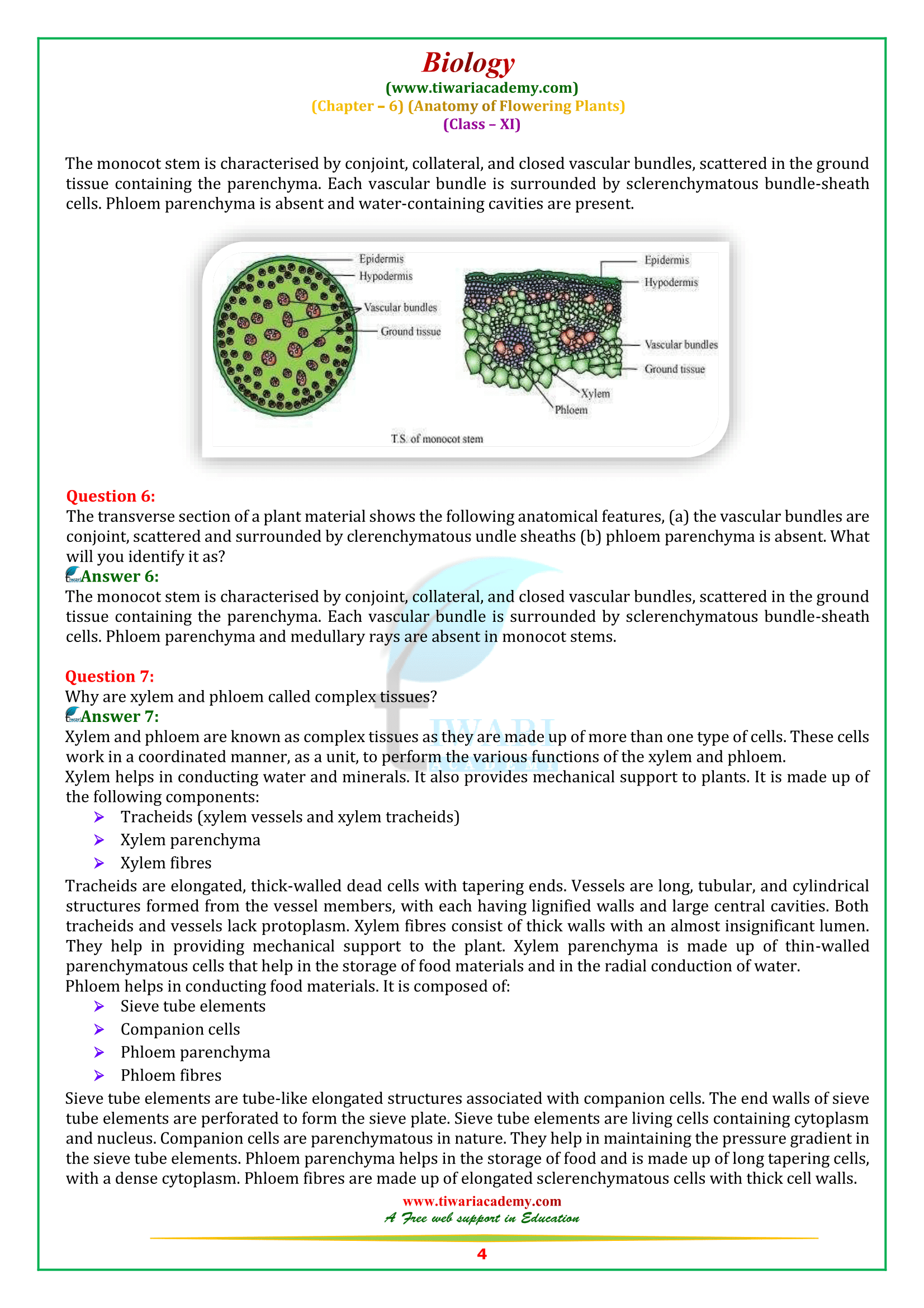 NCERT Solutions for Class 11 Biology Chapter 6 in English Medium