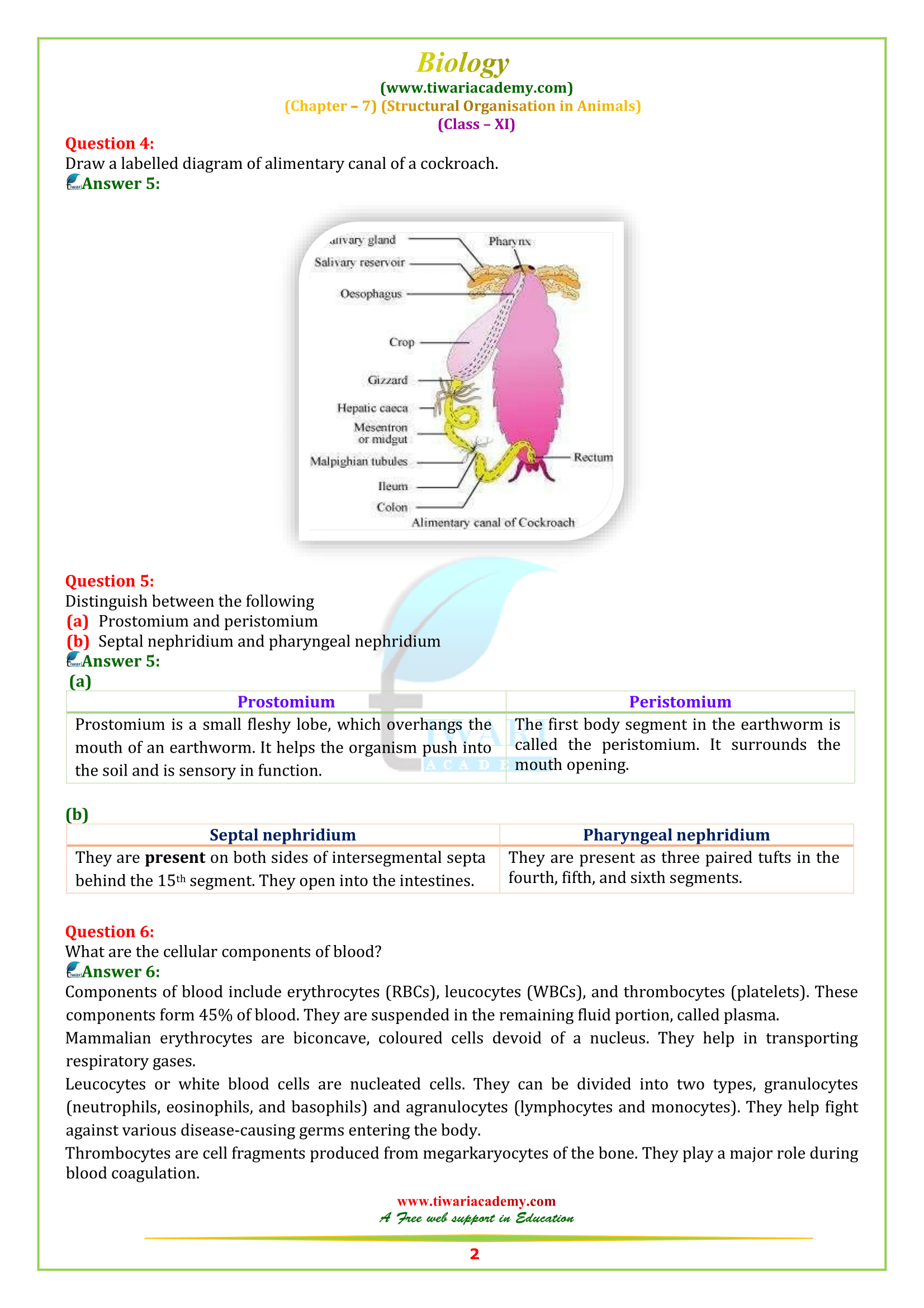 NCERT Solutions for Class 11 Biology Chapter 7 in PDF for 2022-23