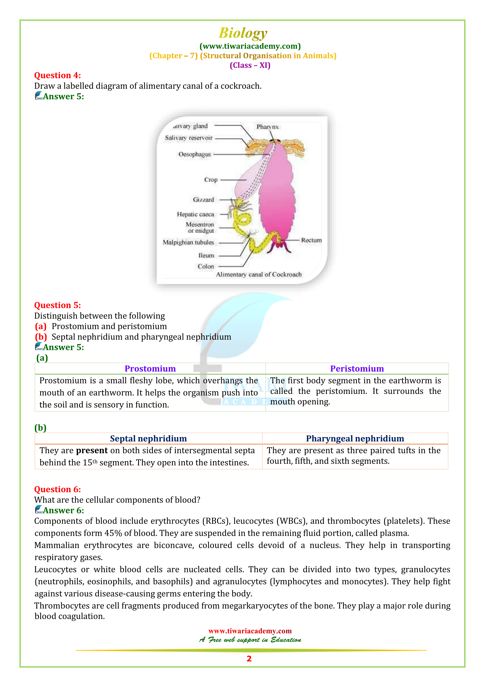 NCERT Solutions for Class 11 Biology Chapter 7 in PDF for 2022-23 NCERT Solutions for Class 11 Biology Chapter 7 in PDF for 2022-23