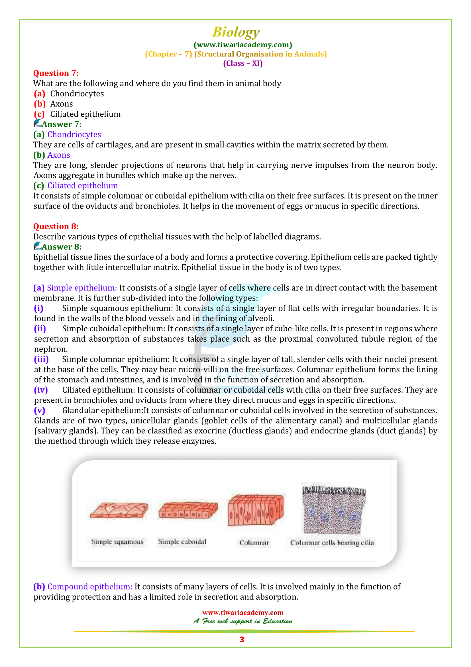 NCERT Solutions for Class 11 Biology Chapter 7 in PDF for 2022-23 NCERT Solutions for Class 11 Biology Chapter 7 in PDF for 2022-23