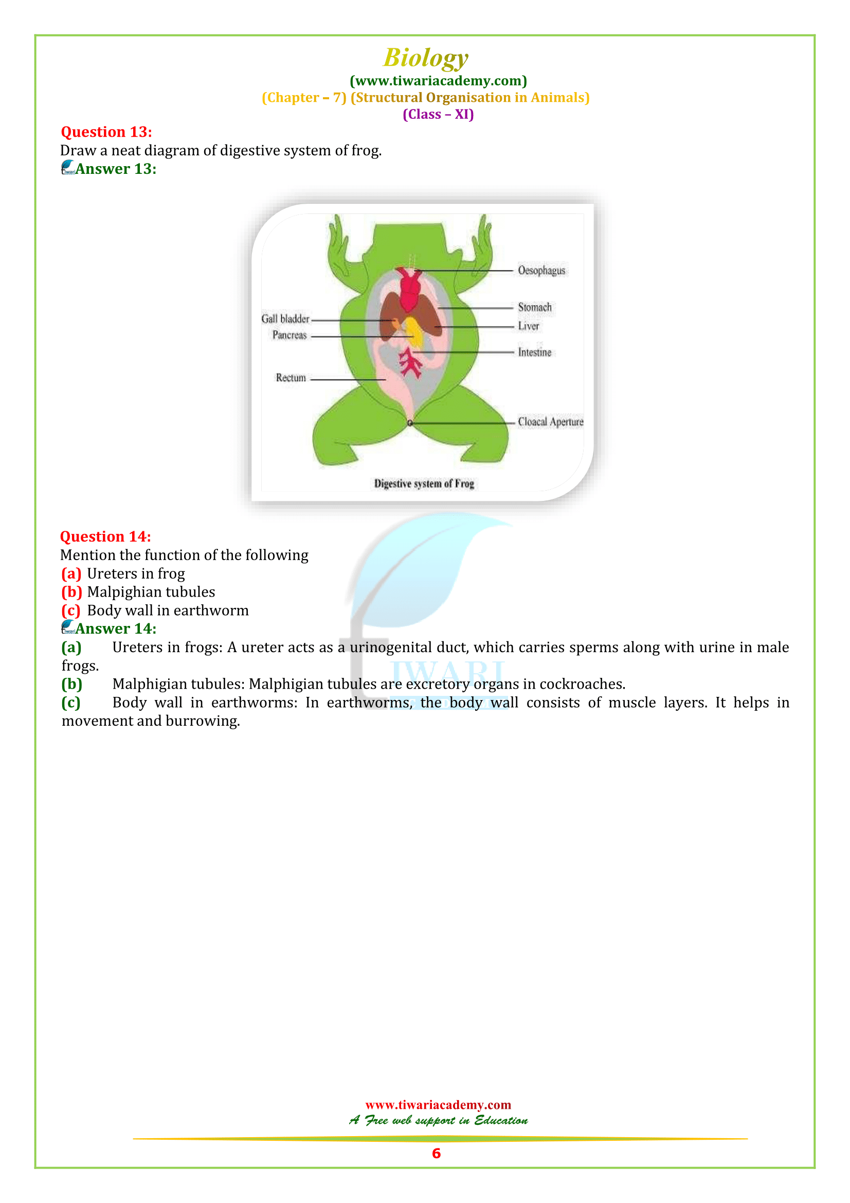 NCERT Solutions for Class 11 Biology Chapter 7 in PDF for 2022-23 NCERT Solutions for Class 11 Biology Chapter 7 in PDF for 2022-23