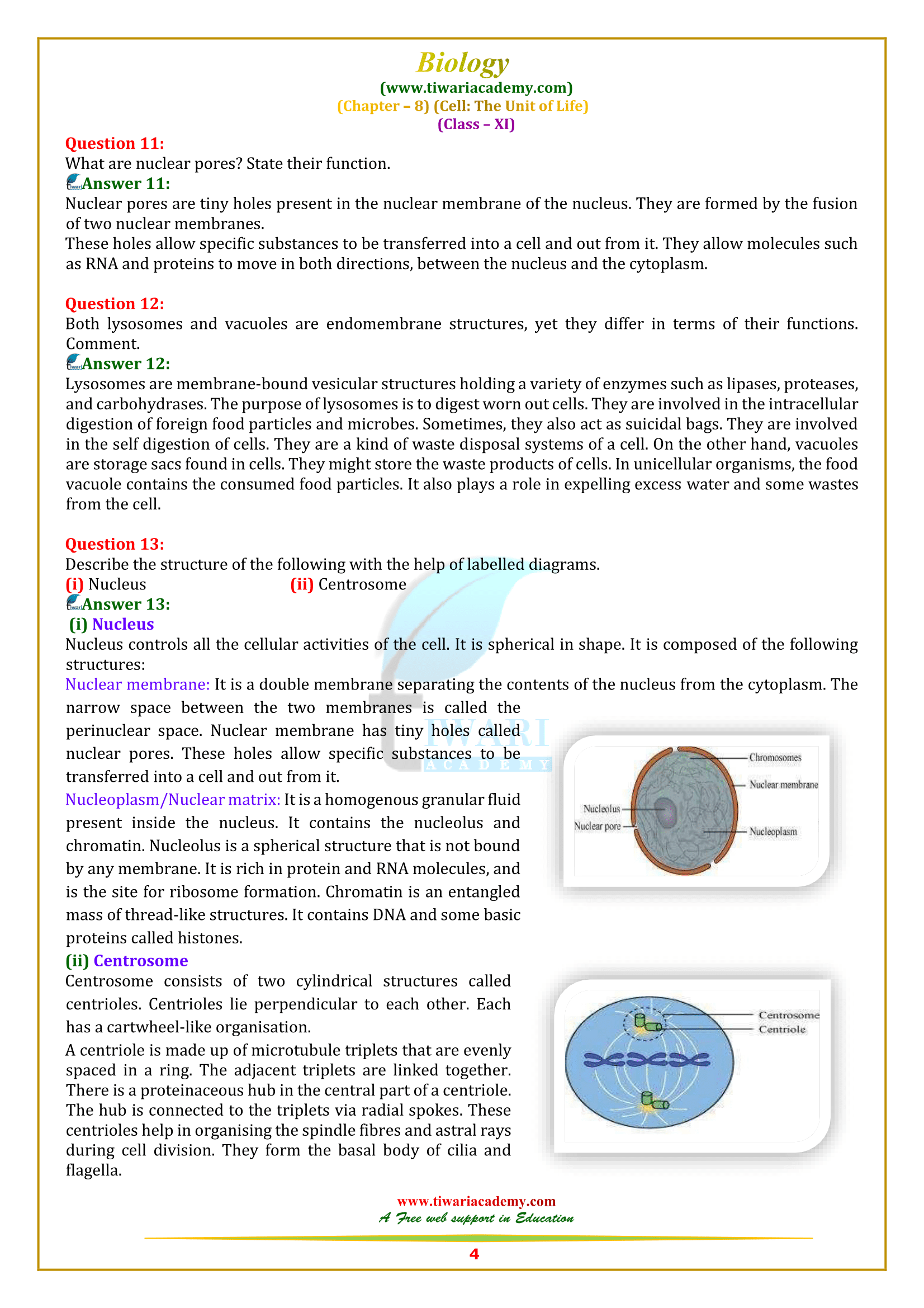 NCERT Solutions for Class 11 Biology Chapter 8 download free