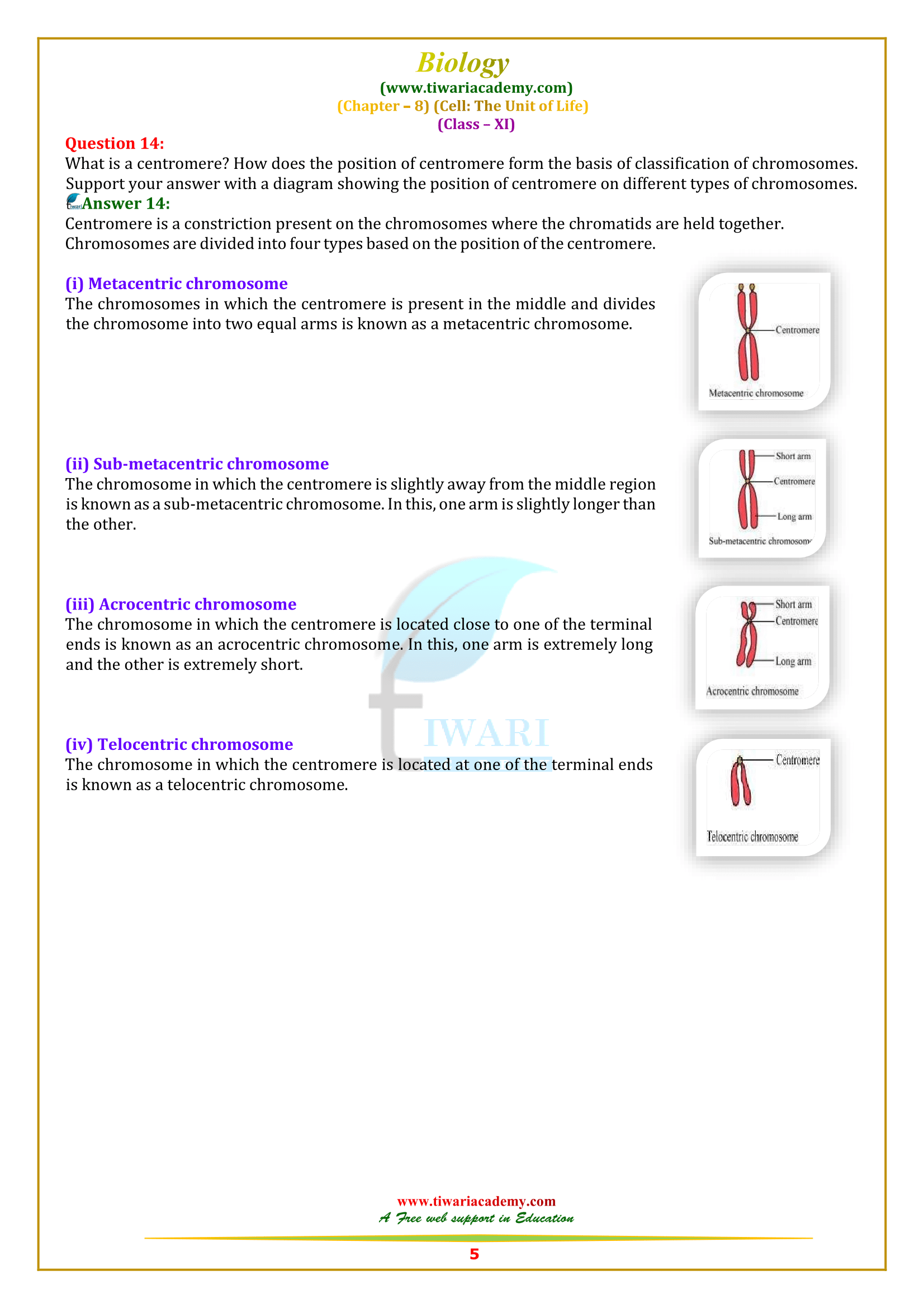 11 bio chapter 8 answers