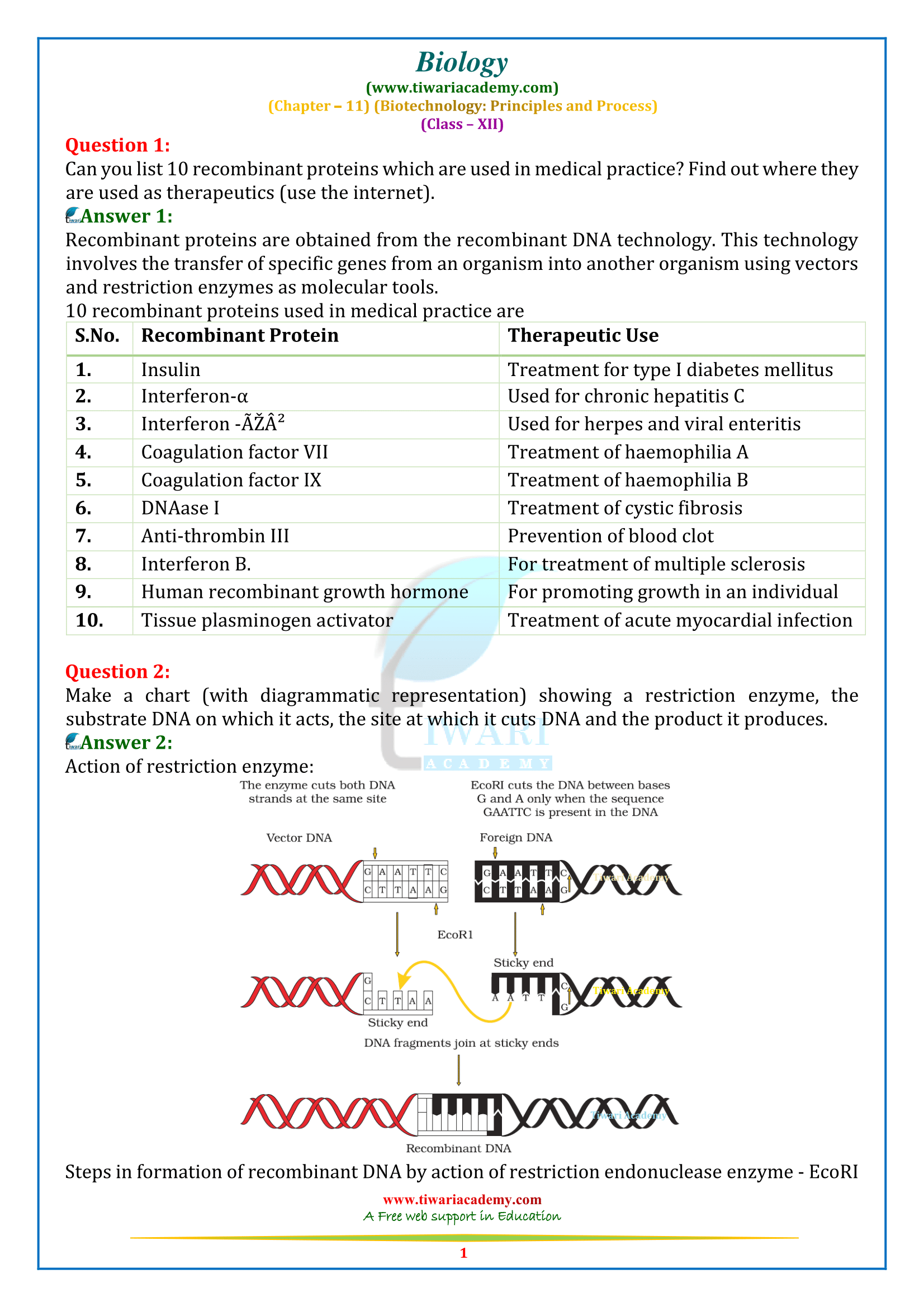 NCERT Solutions for Class 12 Biology Chapter 11 Biotechnology: Principles and Processes