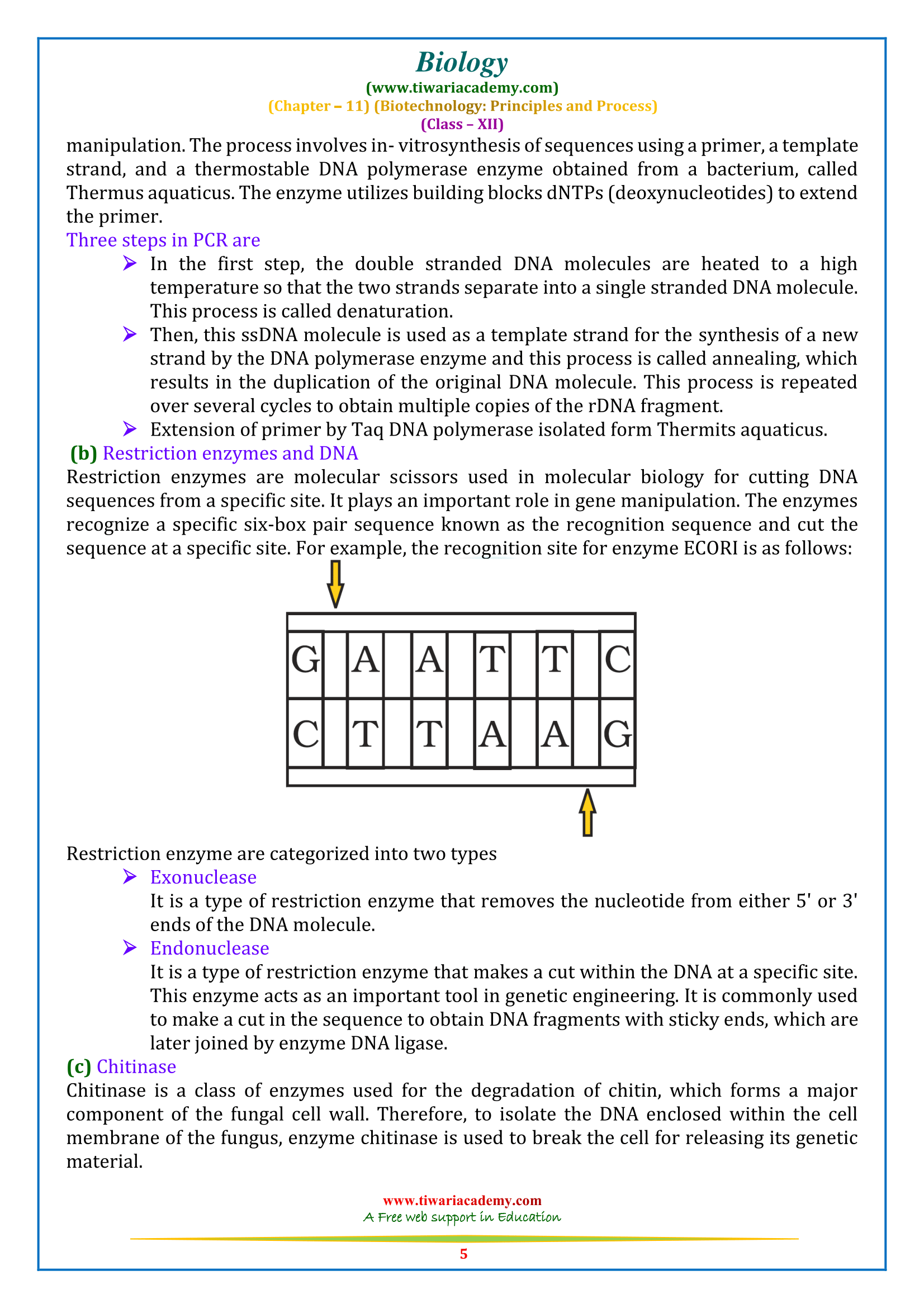 NCERT Solutions for Class 12 Biology Chapter 11 for intermediate UP board