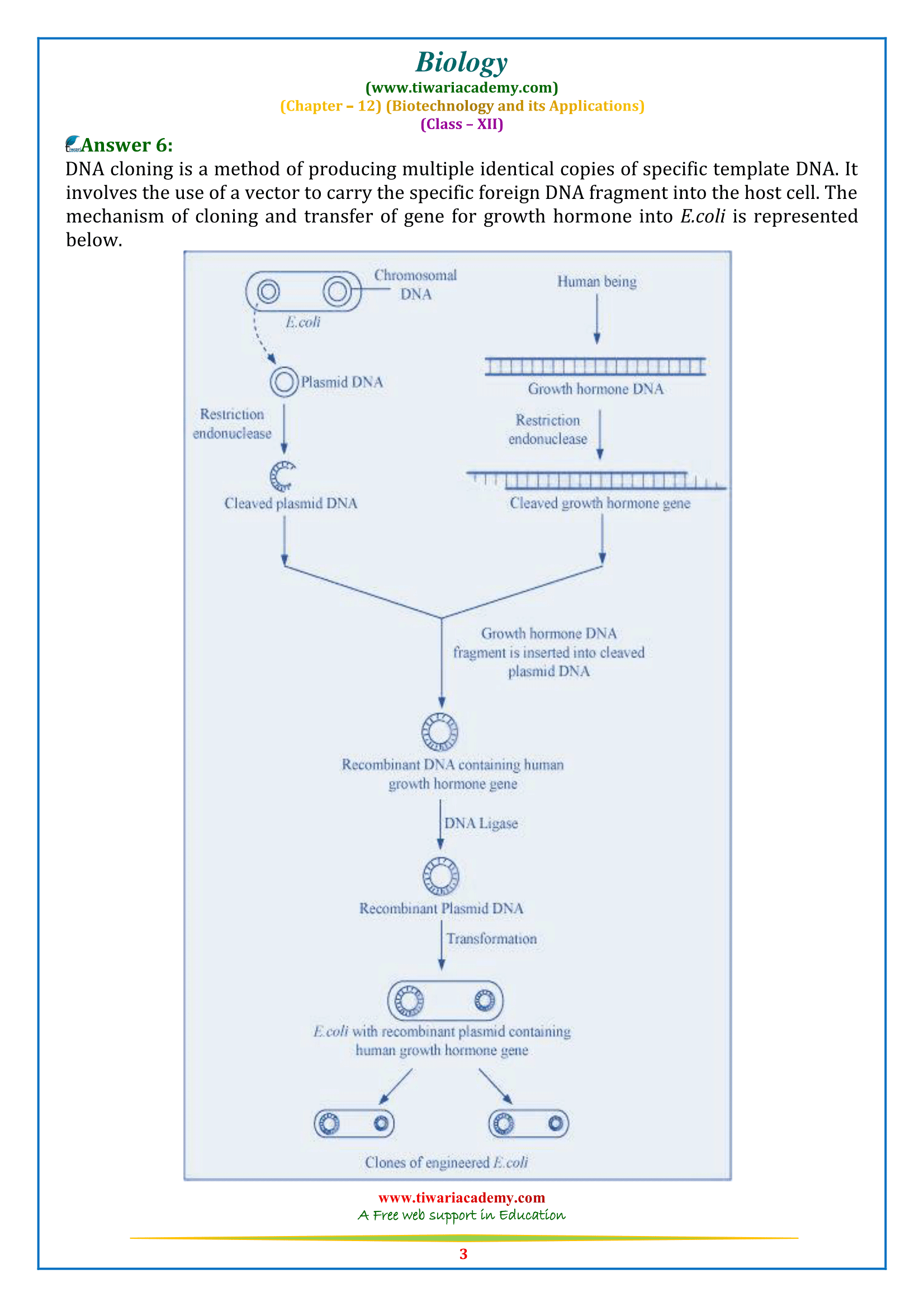 NCERT Solutions for Class 12 Biology Chapter 12