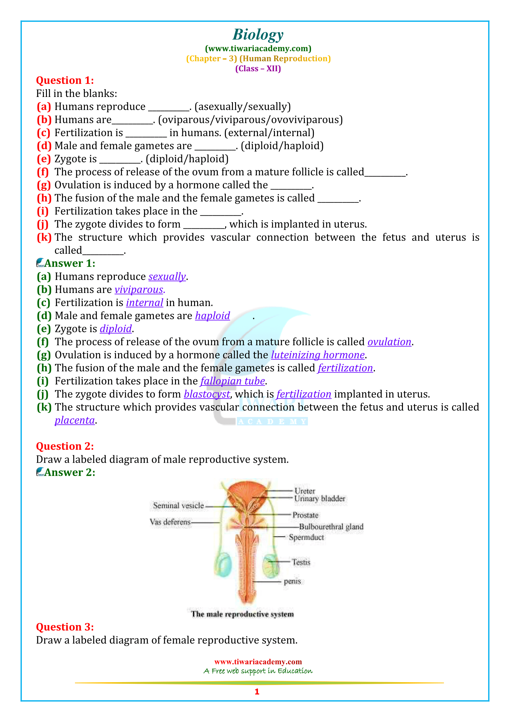 NCERT Solutions for Class 12 Biology Chapter 3