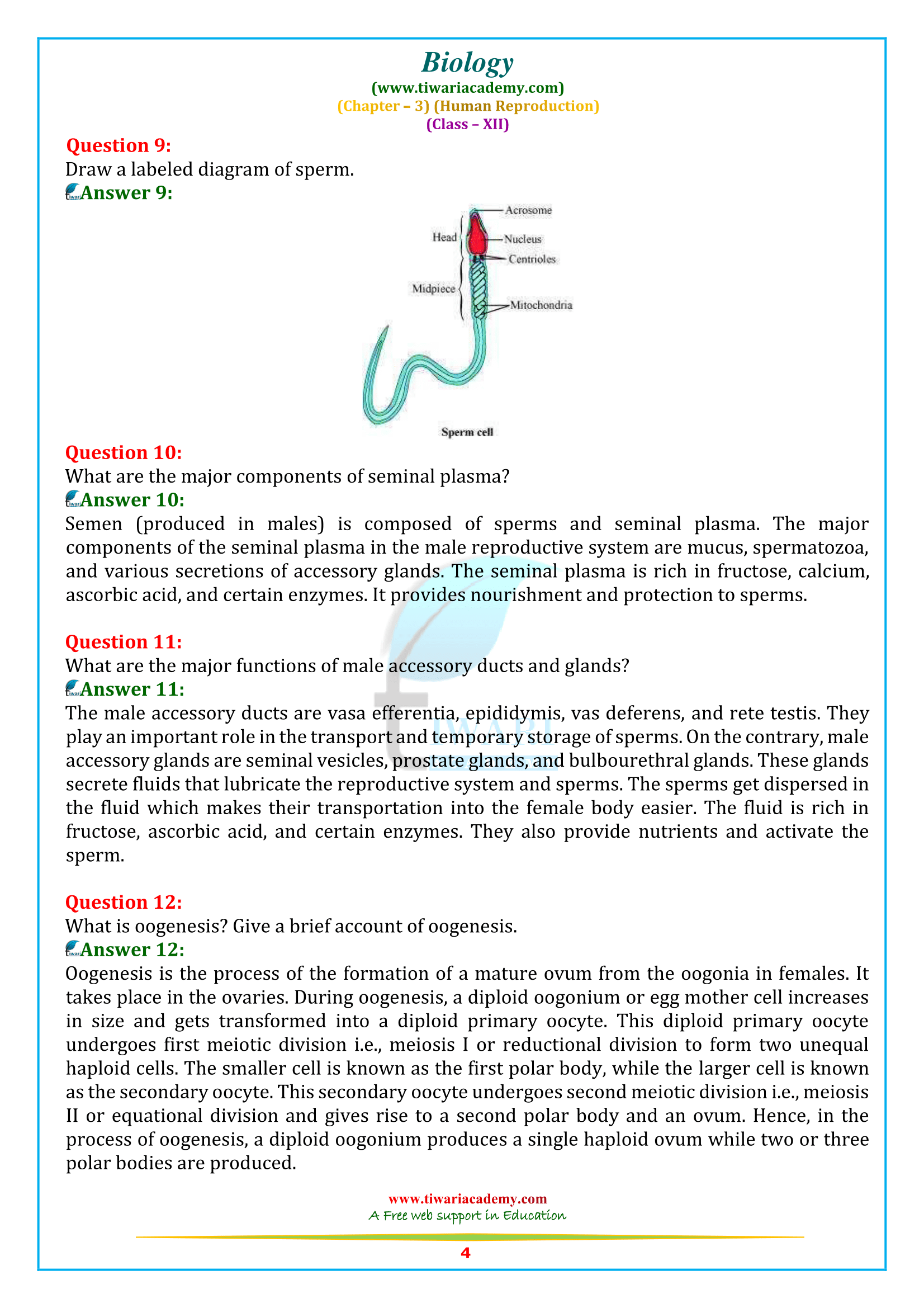 NCERT Solutions for Class 12 Biology Chapter 3 in pdf