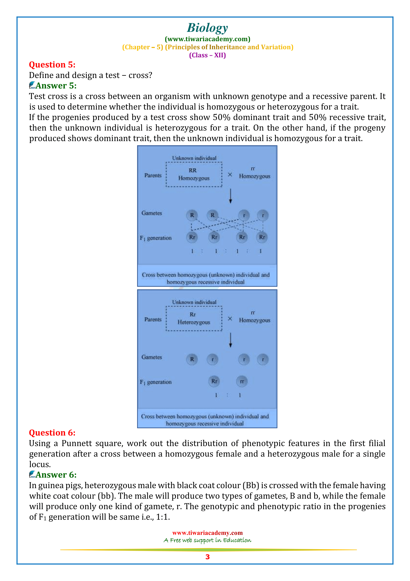 NCERT Solutions for Class 12 Biology Chapter 5 in English medium