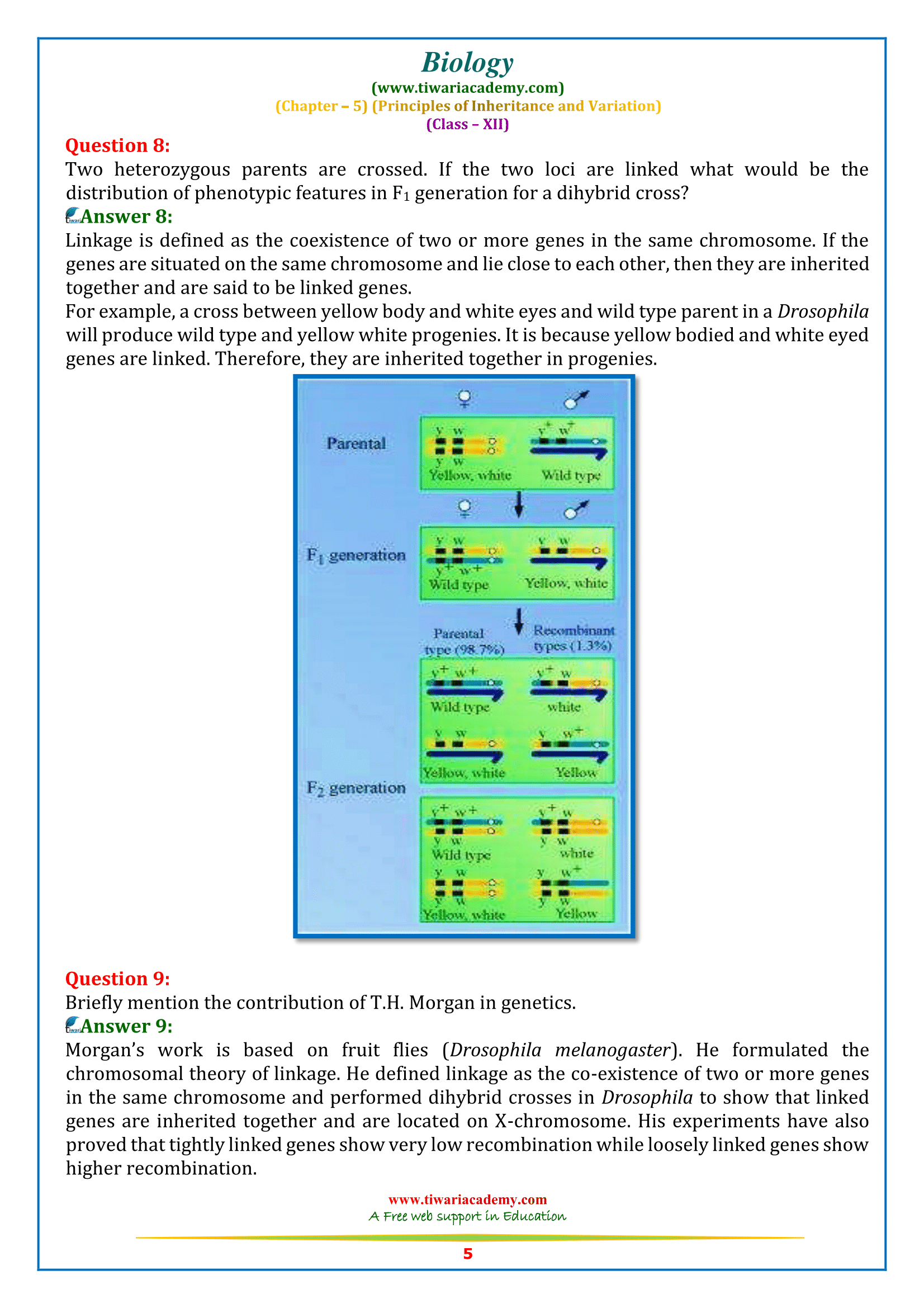 NCERT Solutions for Class 12 Biology Chapter 5 for intermediate