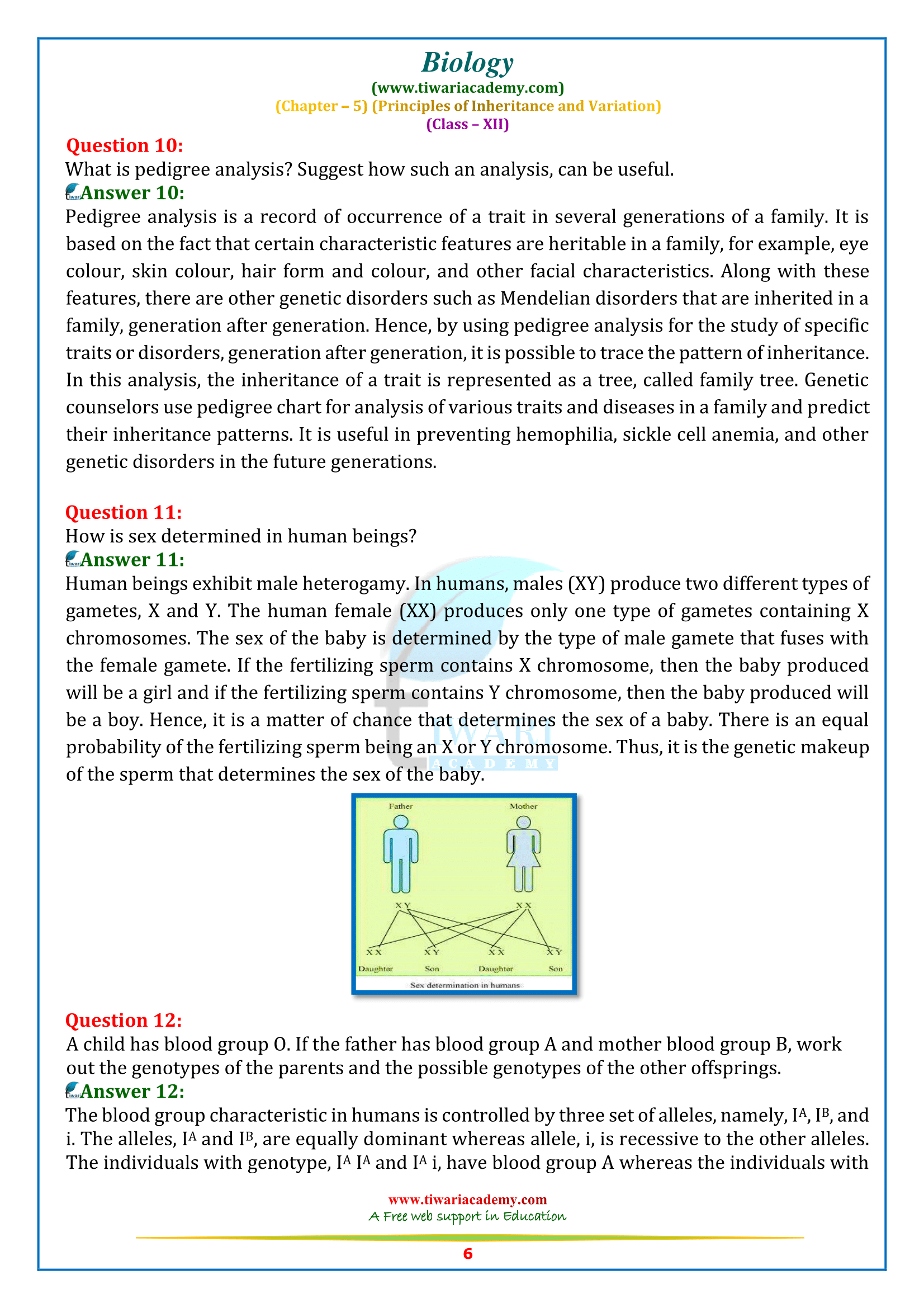 12 Biology chapter 5 answers