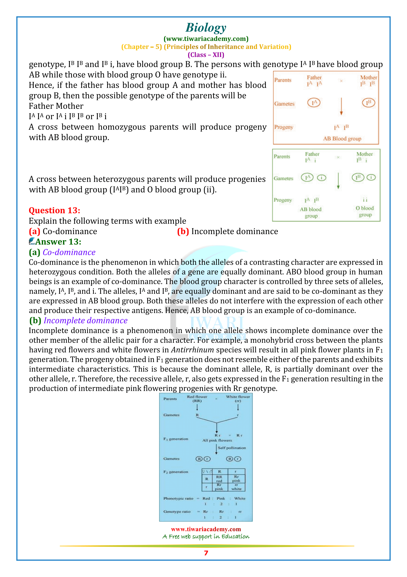 12 bio ch. 5 sols