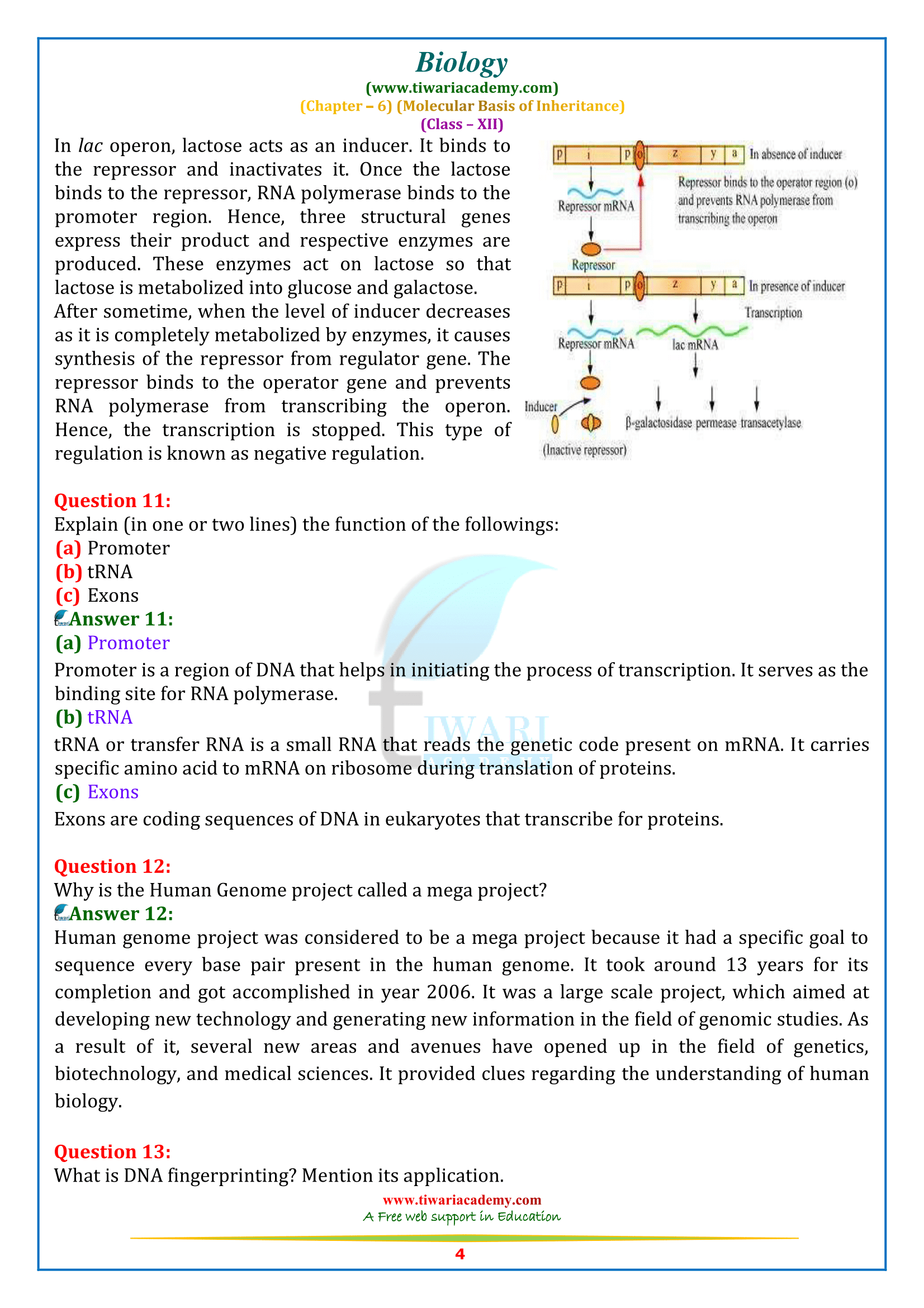 NCERT Solutions for Class 12 Biology Chapter 6 for up board intermediate