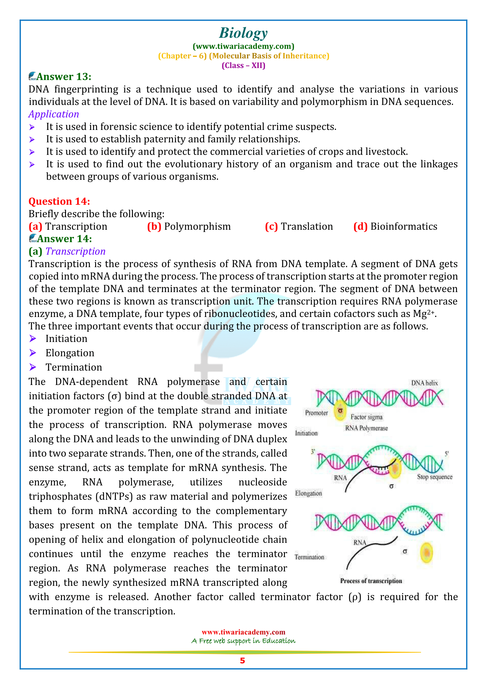 12 biology chapter 6 answers