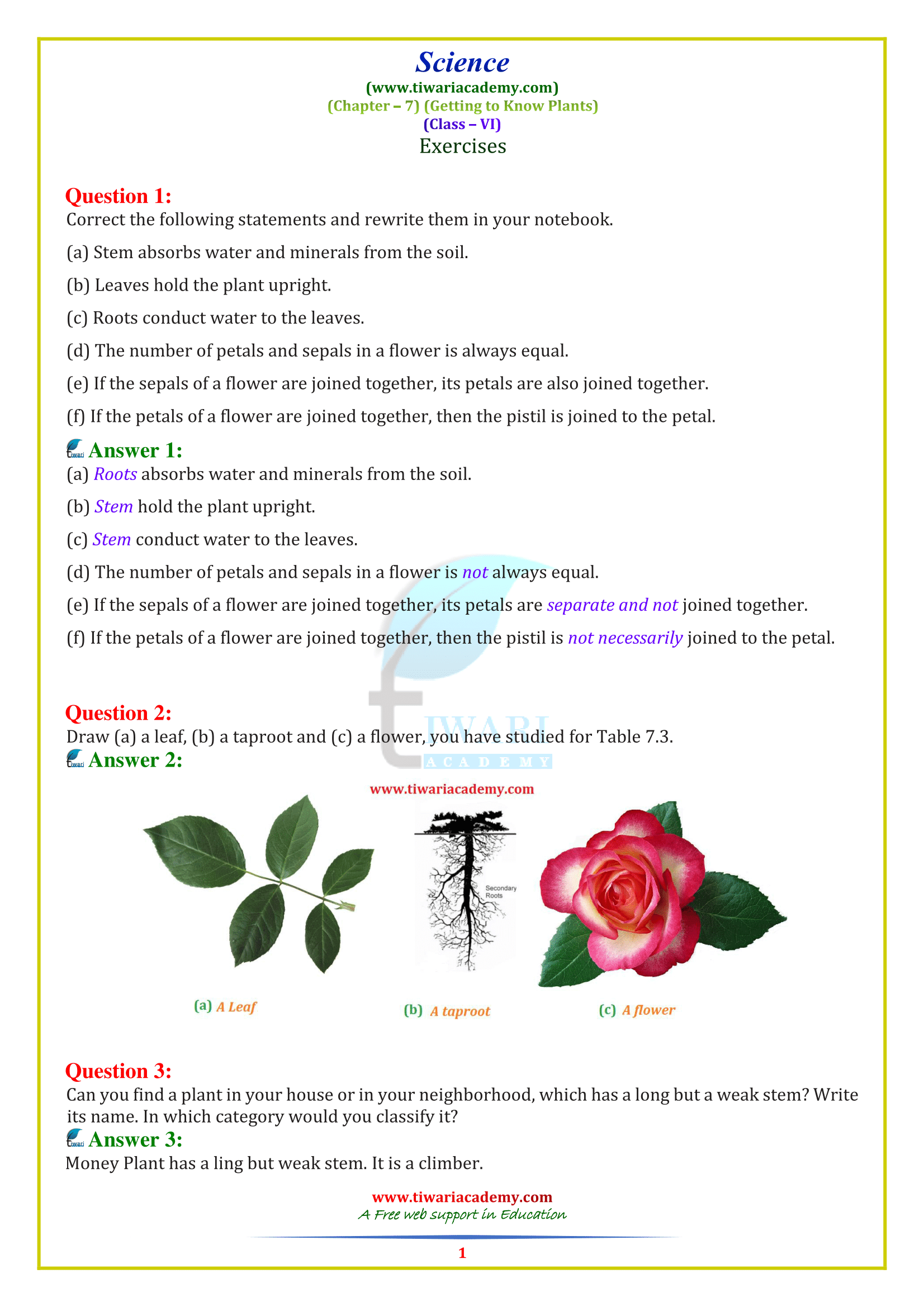 Class 6 Science Chapter 7