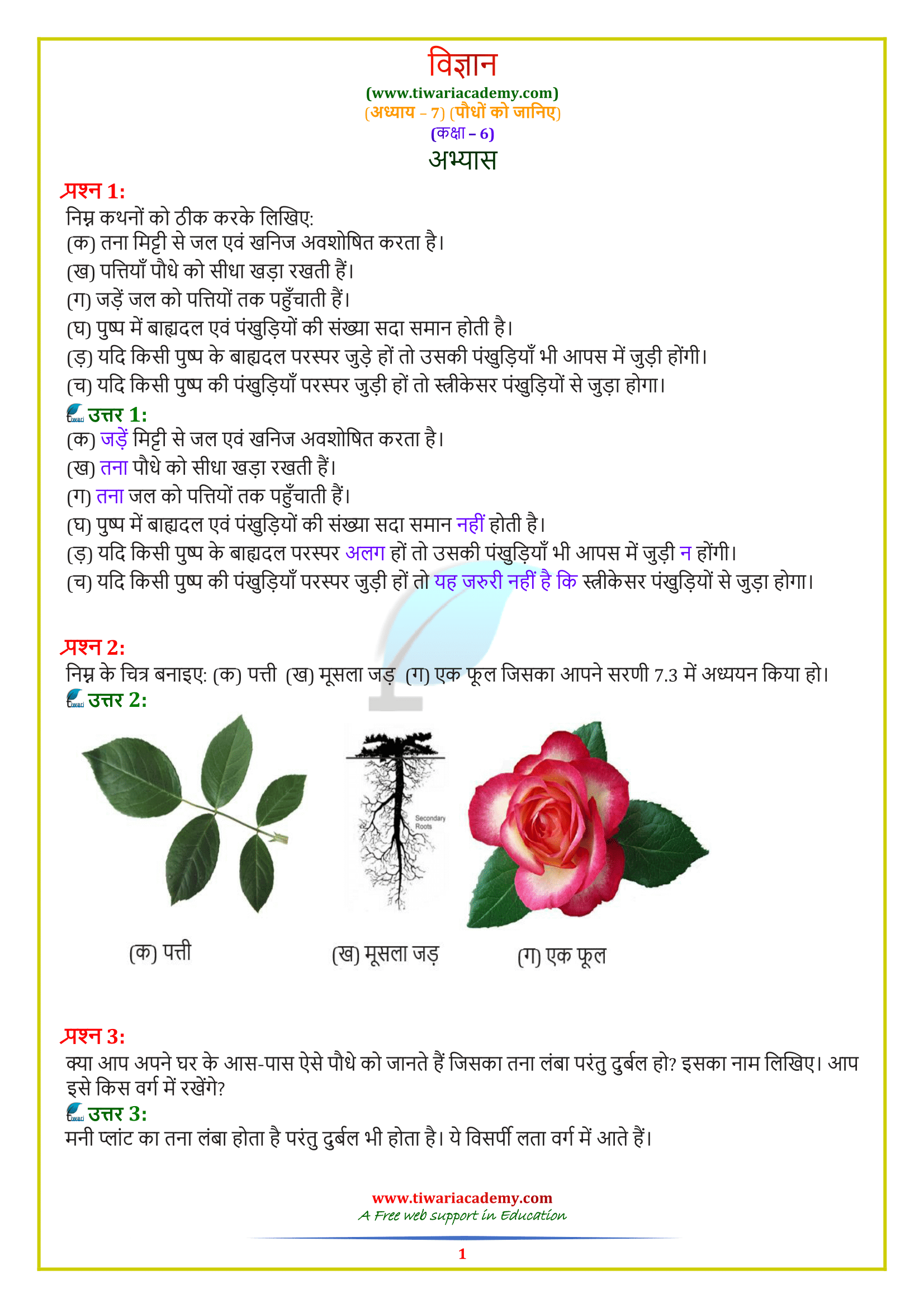 NCERT Solutions for Class 6 Science अध्याय 7: पौधो को जानिए in हिंदी मीडियम