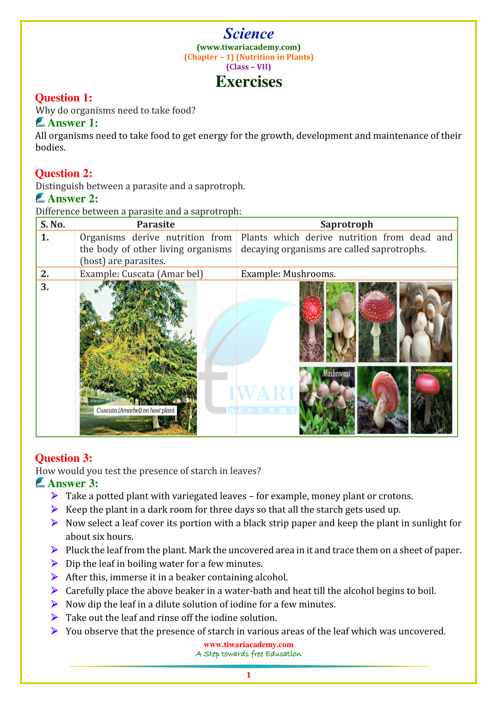 CBSE NCERT Solutions for Class 7 Science Chapter 1: Nutrition in Plants