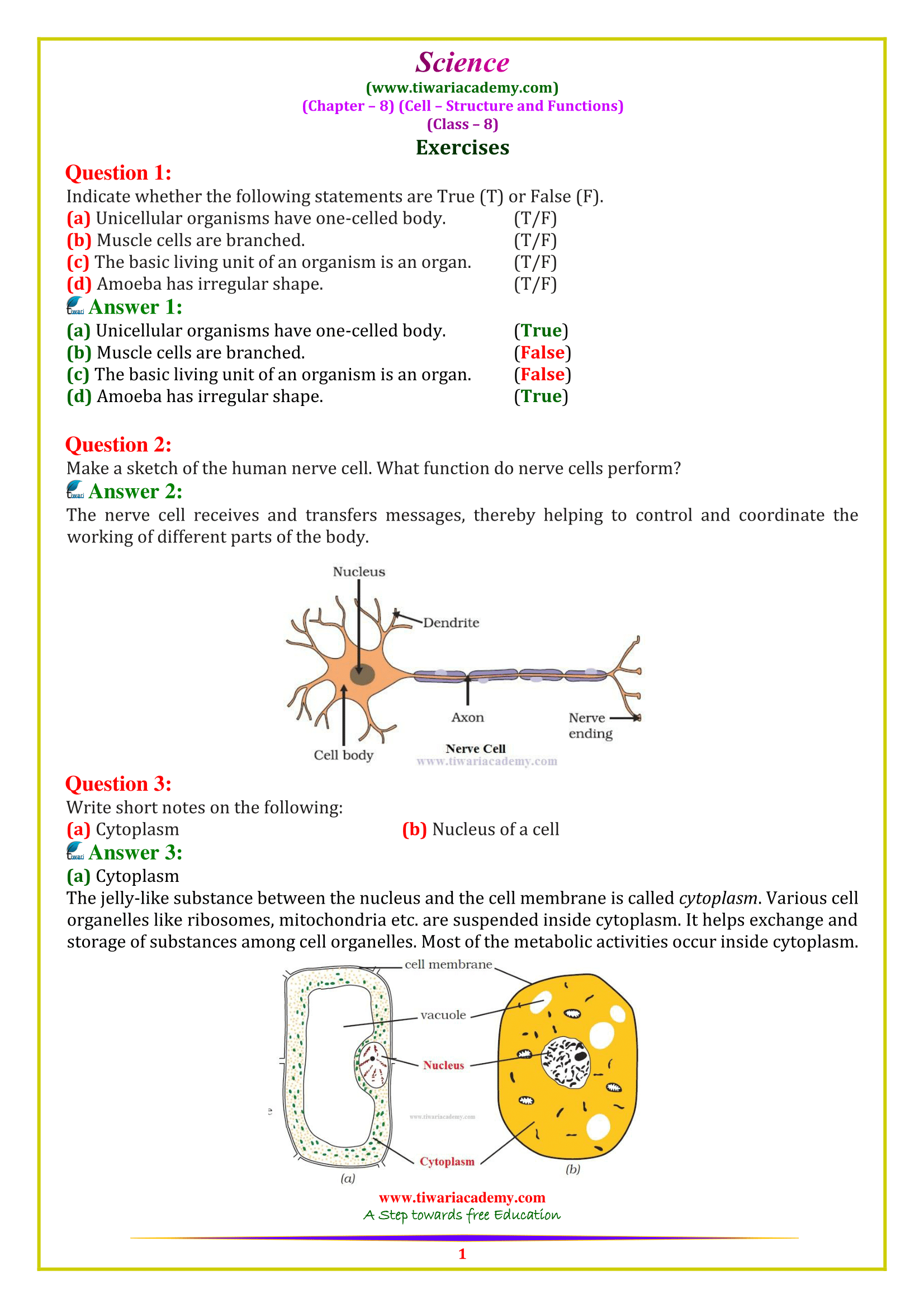 NCERT Solutions for Class 8 Science Chapter 8 Cell - structure and functions