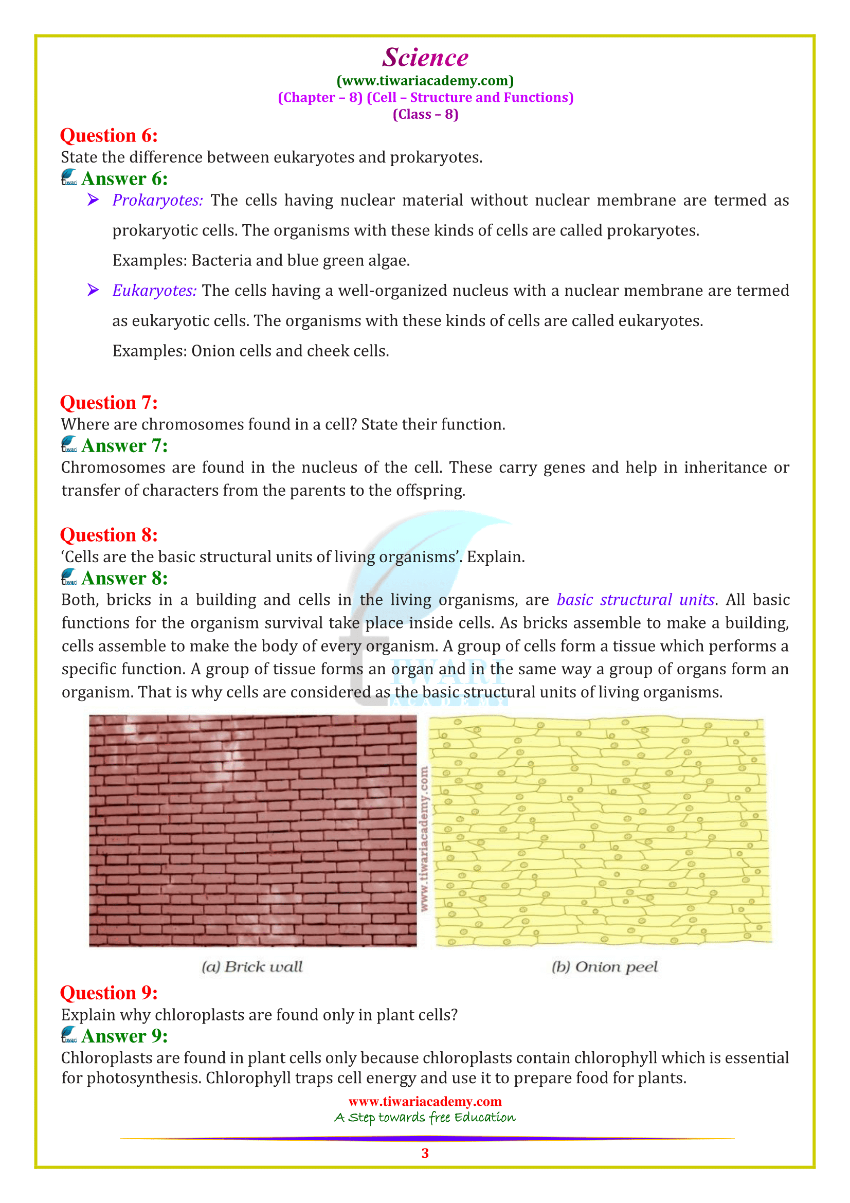 8 Science chapter 8 answers