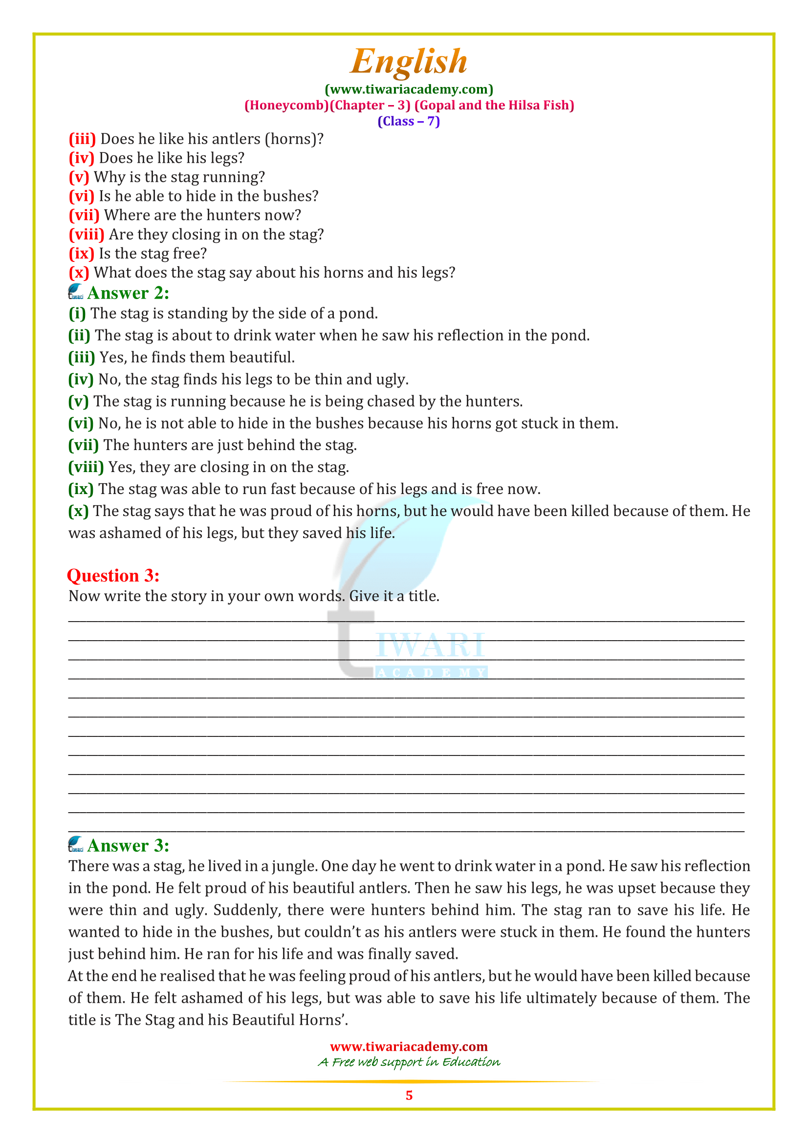 7 English chapter 3 answers