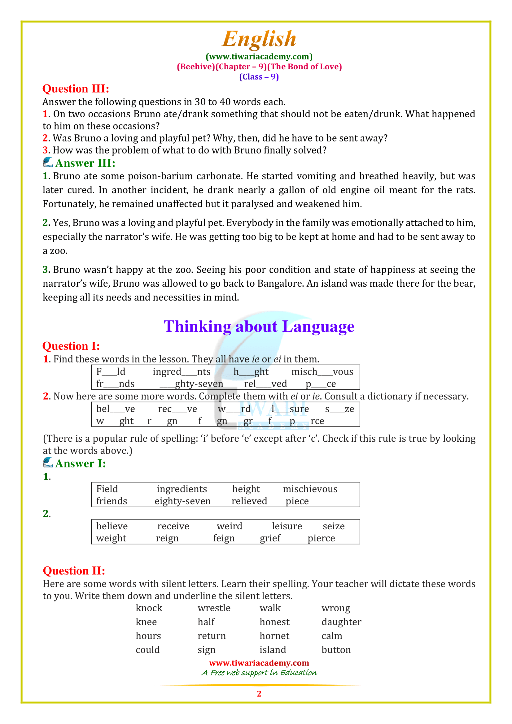 9 English chpater 9
