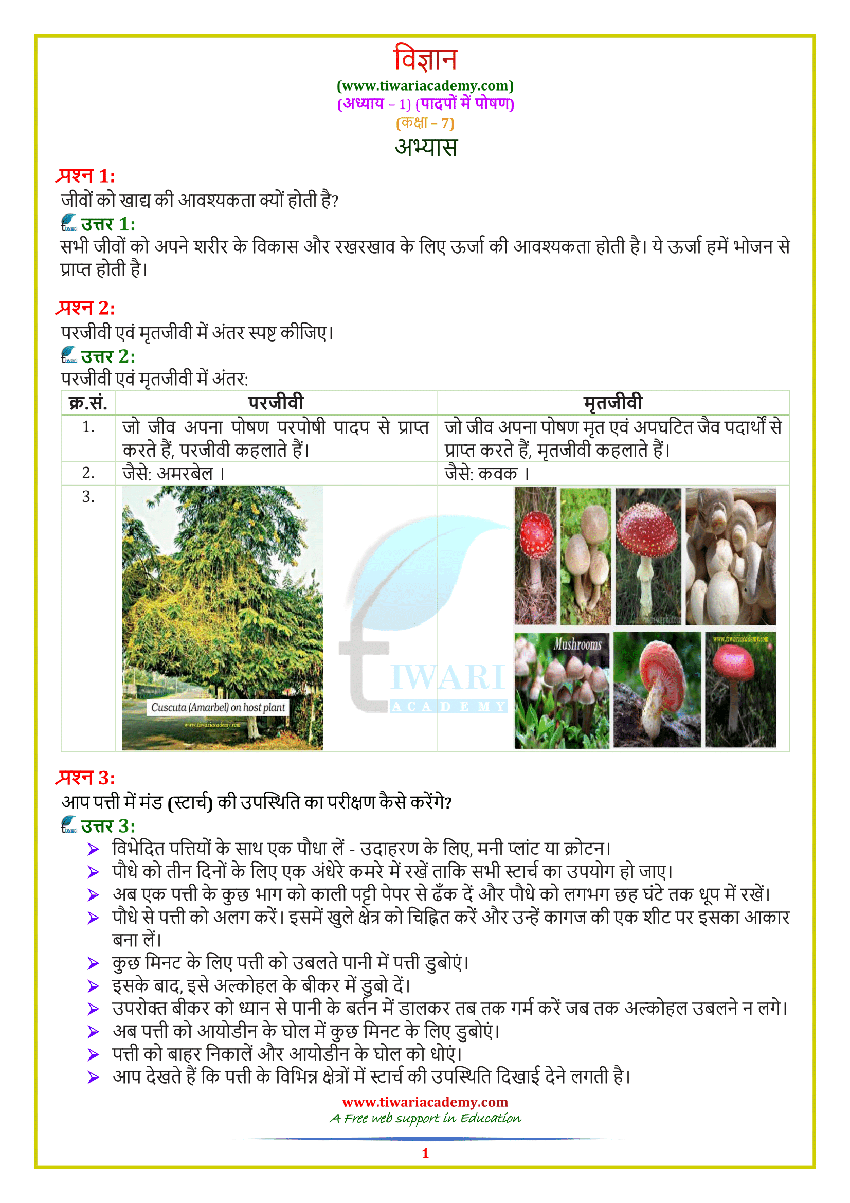 7 Science अध्याय 1: पादपों में पोषण