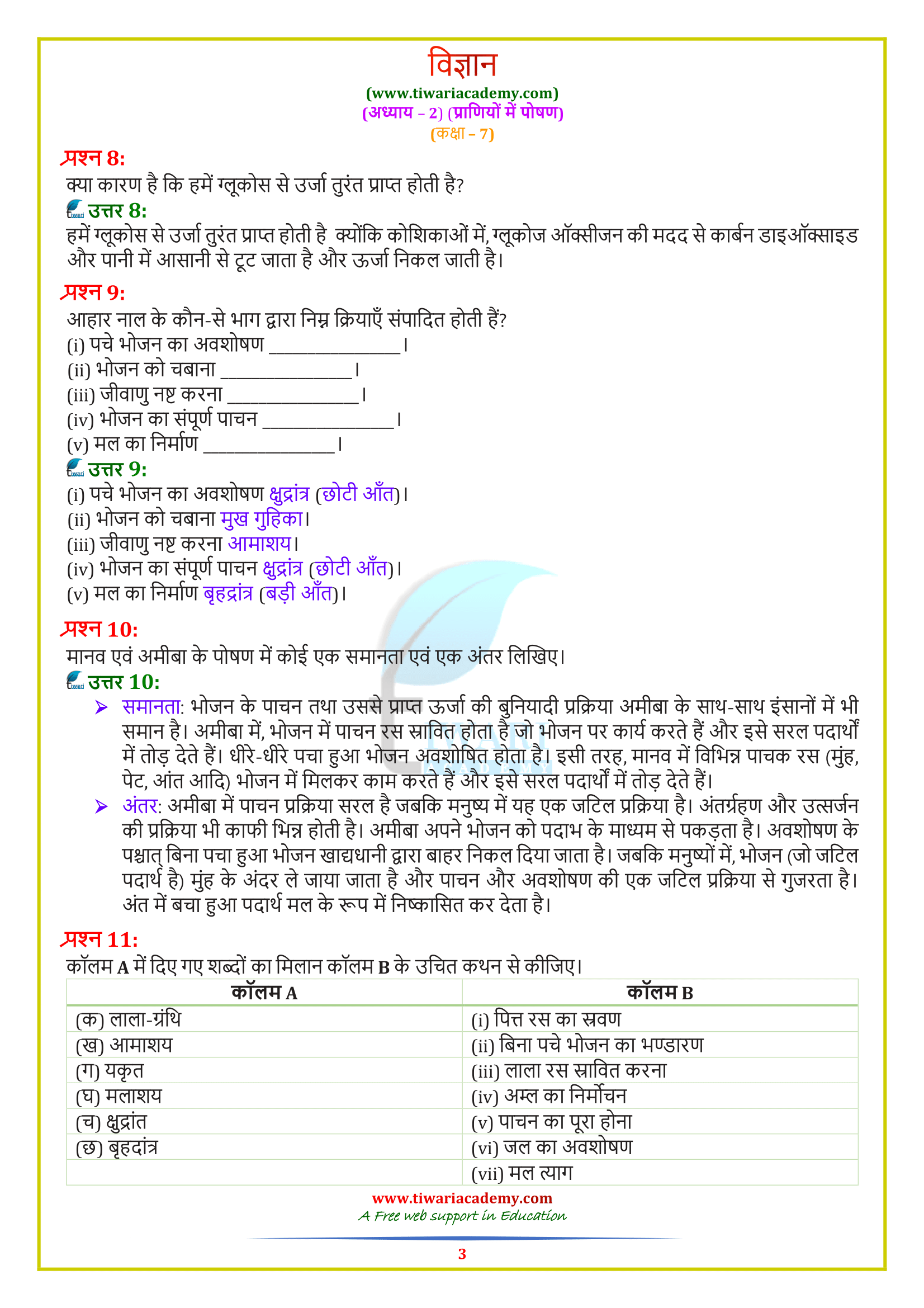 NCERT Solutions for Class 7 Science Chapter 2 Nutrition in Animals