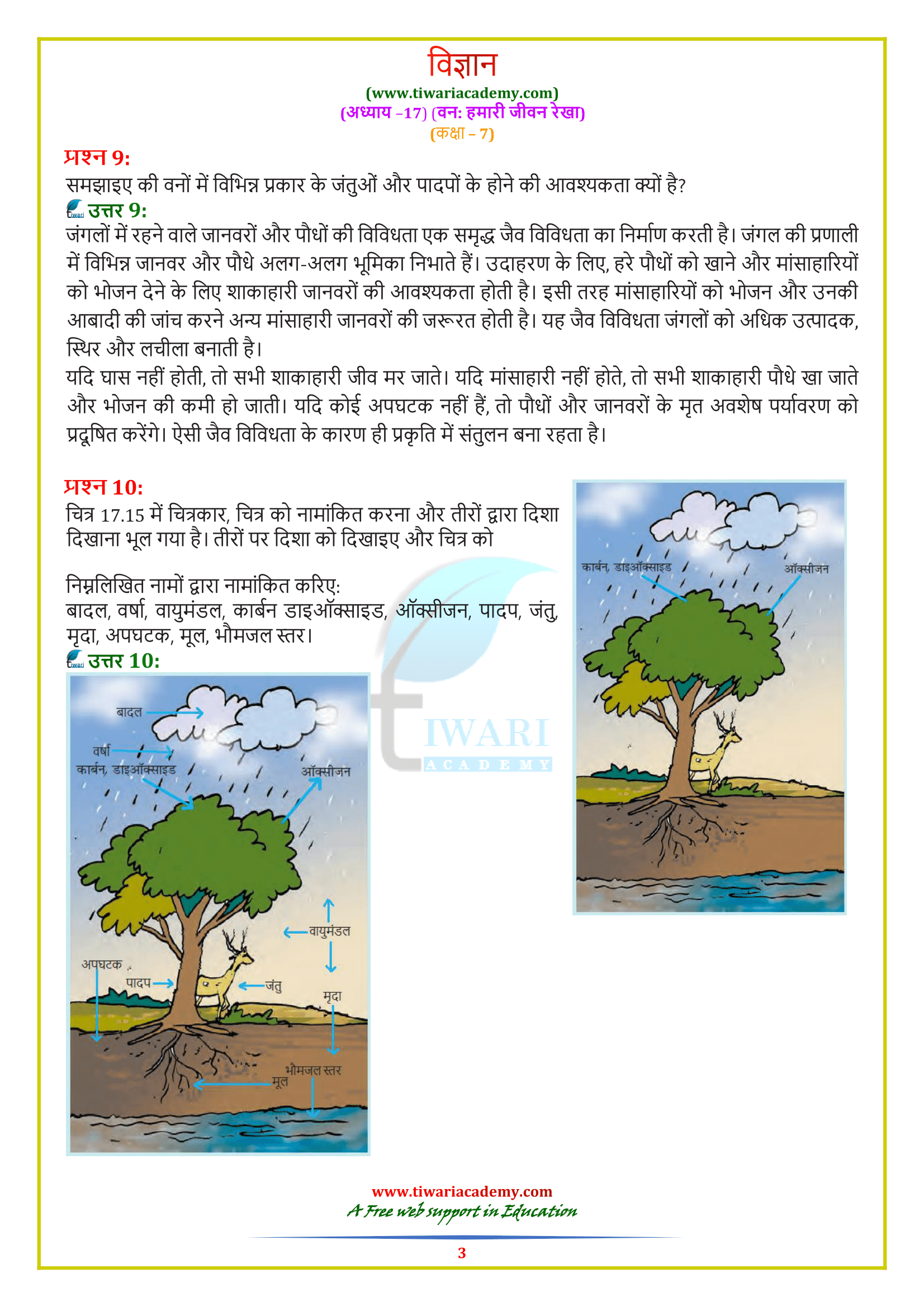 Chapter 17 Questions answers class 7 science