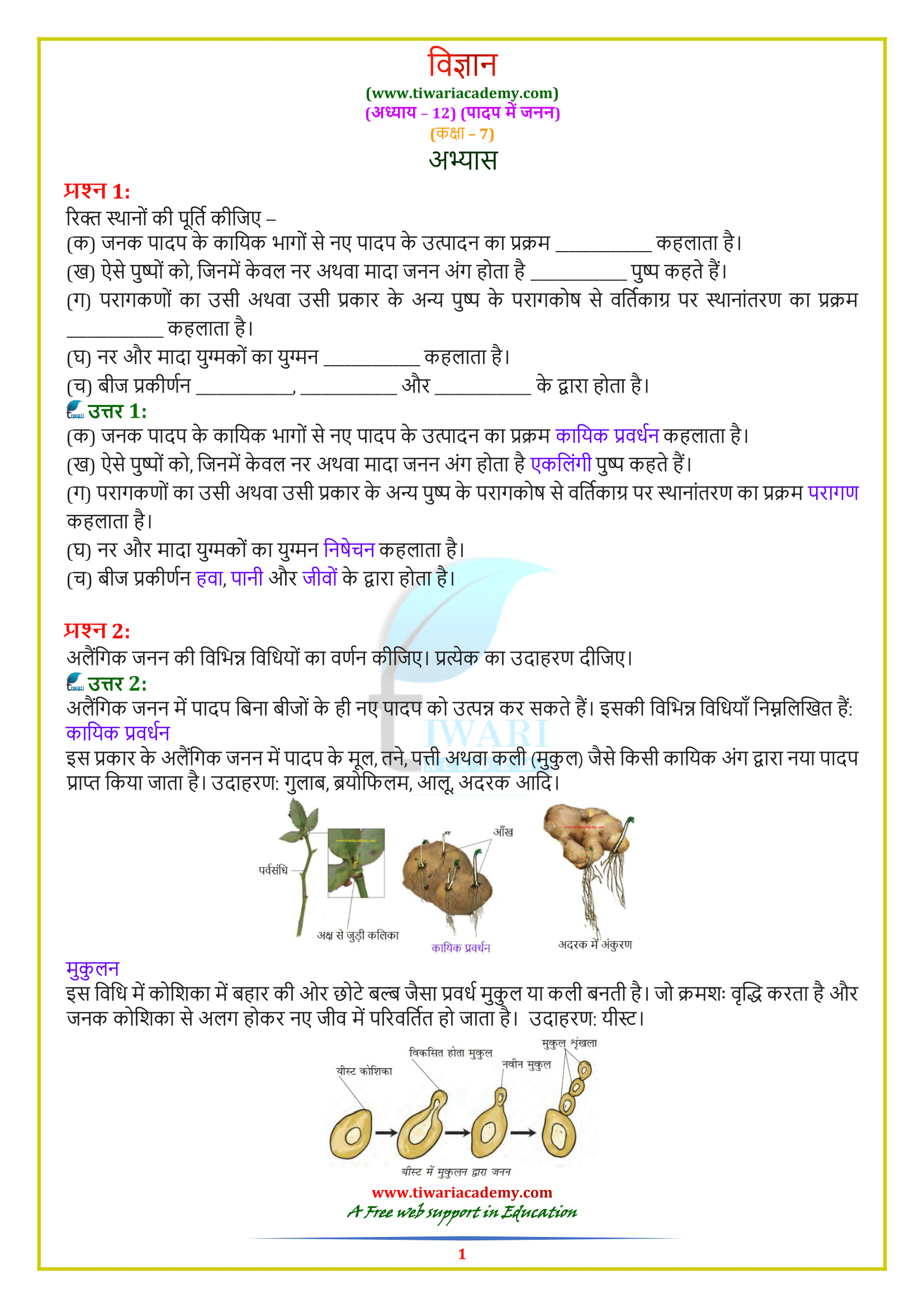 NCERT Solutions for Class 7 Science chapter 12