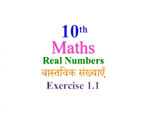 NCERT Solutions for Class 10 Maths Chapter 1 Exercise 1.1
