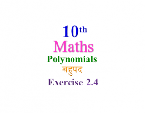 NCERT Solutions for Class 10 Maths Chapter 2 Exercise 2.4