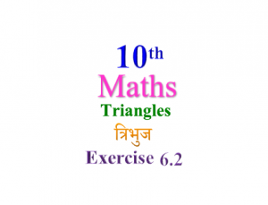 NCERT Solutions for Class 10 Maths Chapter 6 Exercise 6.2