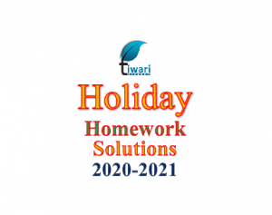 Holiday Homework Solutions 2025-26