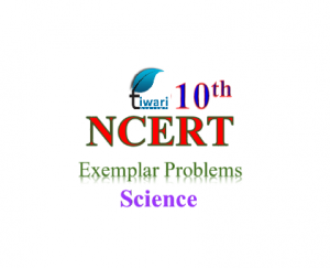 NCERT Exemplar problems for class 10 Science