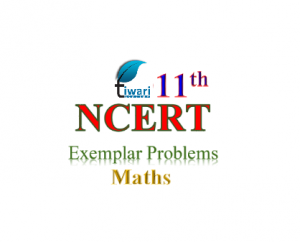 NCERT Exemplar problems for class 11 Maths