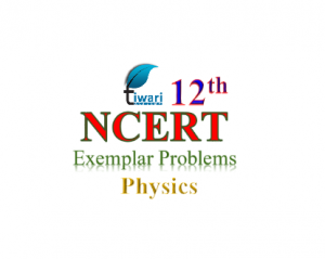 NCERT Exemplar problems for class 12 Physics
