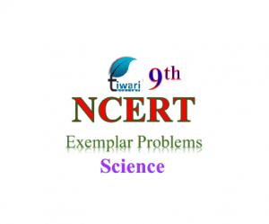NCERT Exemplar problems for class 9 Science