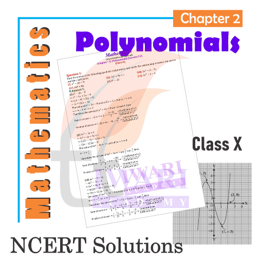 Class 10 Maths Chapter 2 Solution