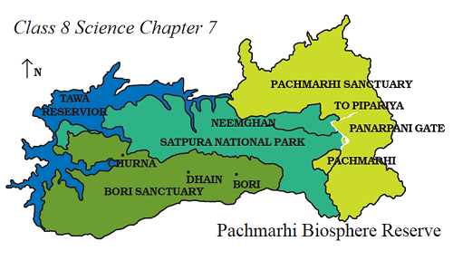 Class-8-Science-Pachmarhi-Biosphere-Reserve-2
