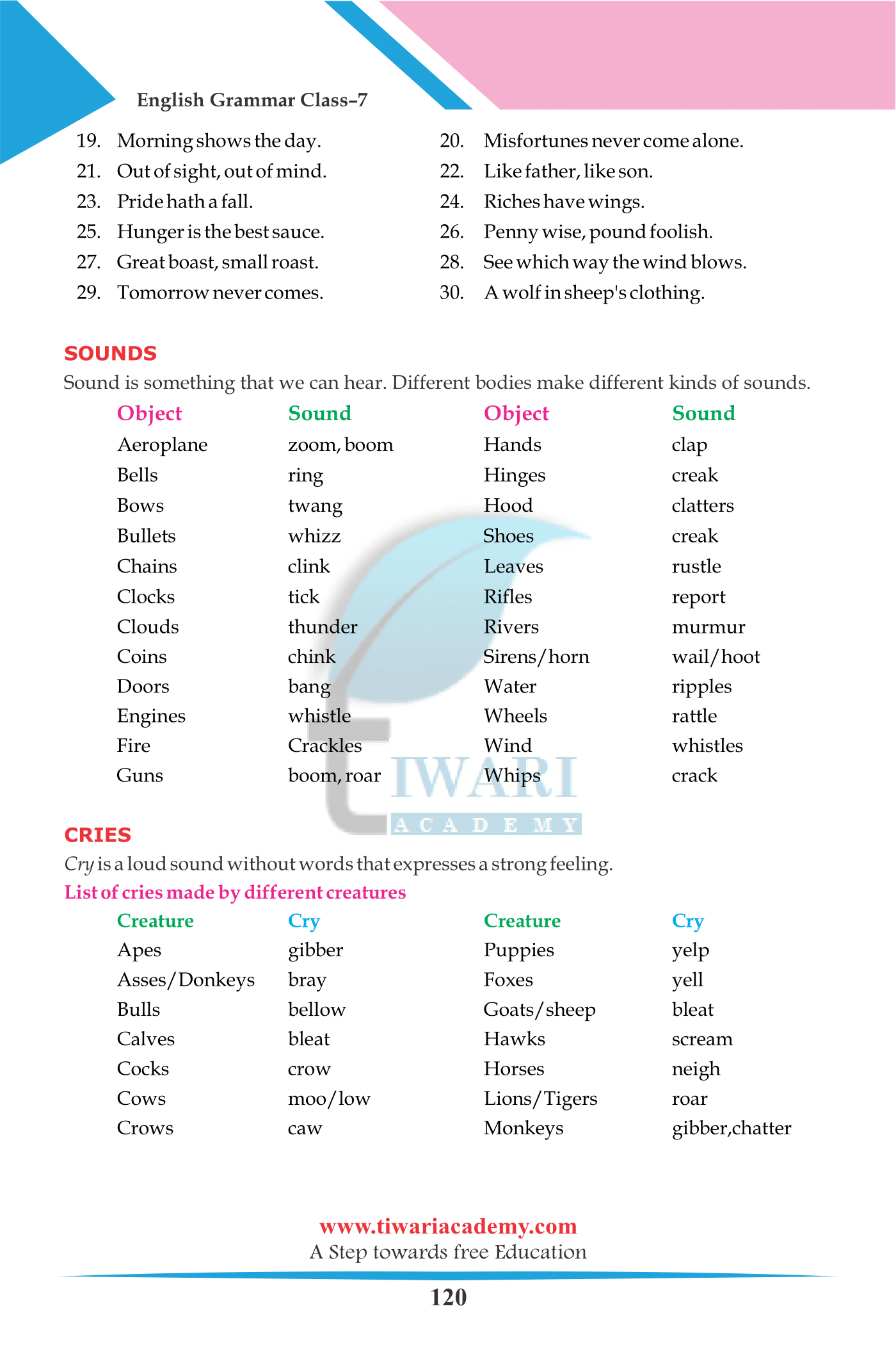 Vocabulary for class 7th Eng