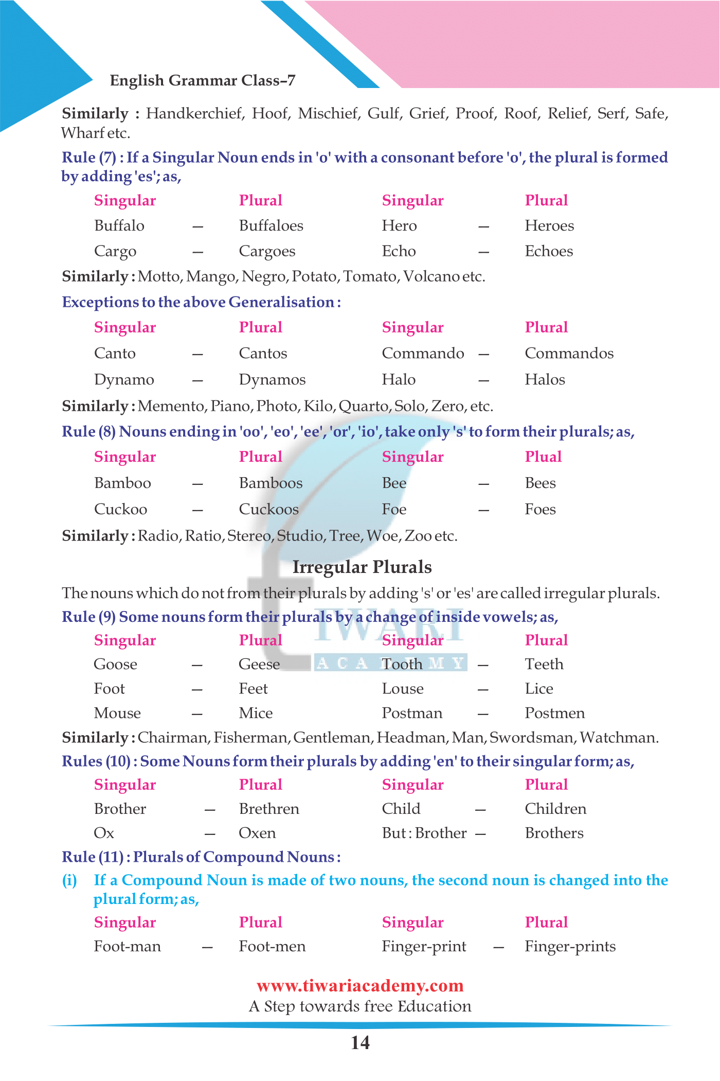7th English Grammar Singular and Plural of Noun